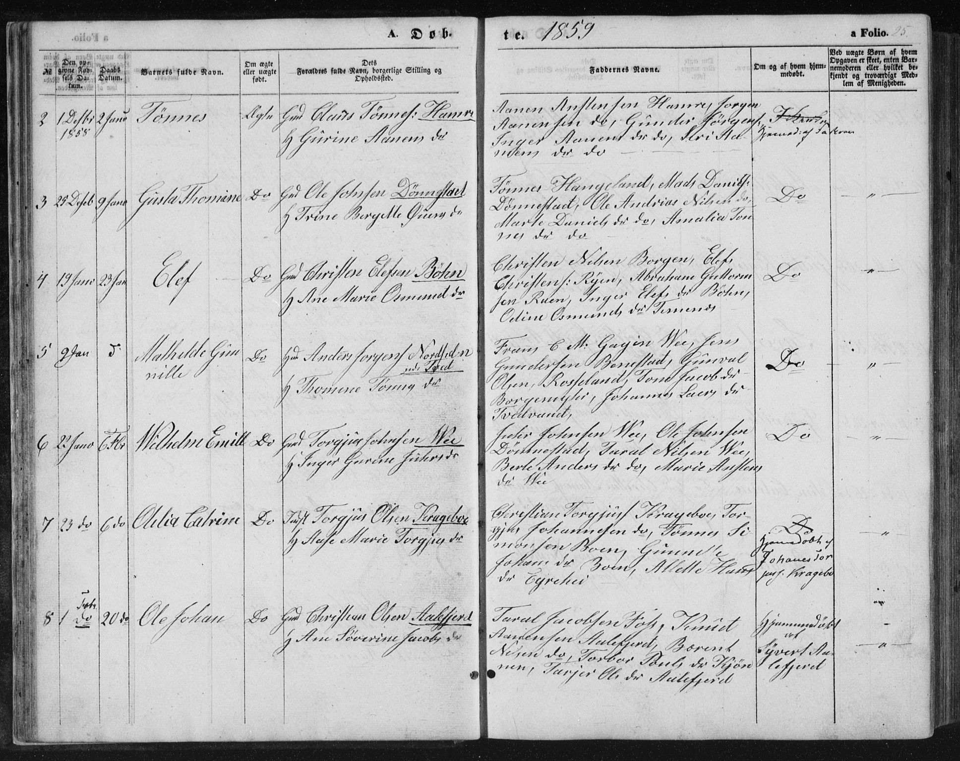 Tveit sokneprestkontor, AV/SAK-1111-0043/F/Fb/L0003: Parish register (copy) no. B 3, 1854-1886, p. 25