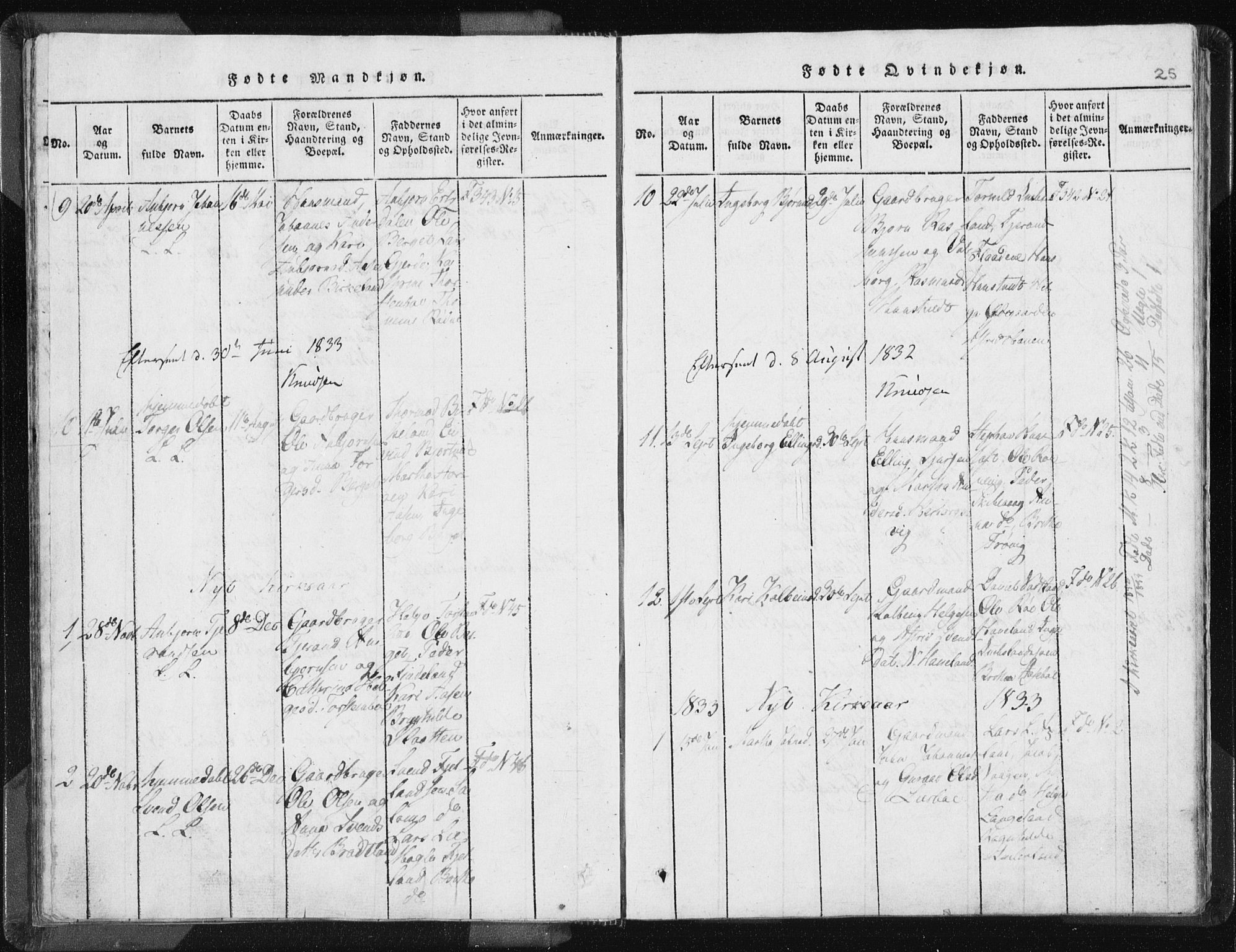 Vikedal sokneprestkontor, AV/SAST-A-101840/01/IV: Parish register (official) no. A 5, 1817-1850, p. 25