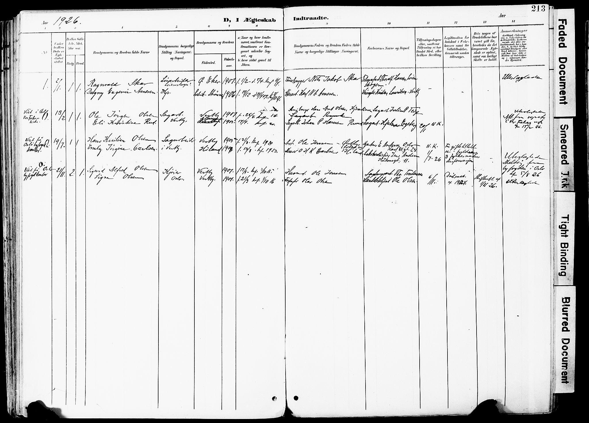 Vestby prestekontor Kirkebøker, SAO/A-10893/F/Fa/L0010: Parish register (official) no. I 10, 1900-1926, p. 213