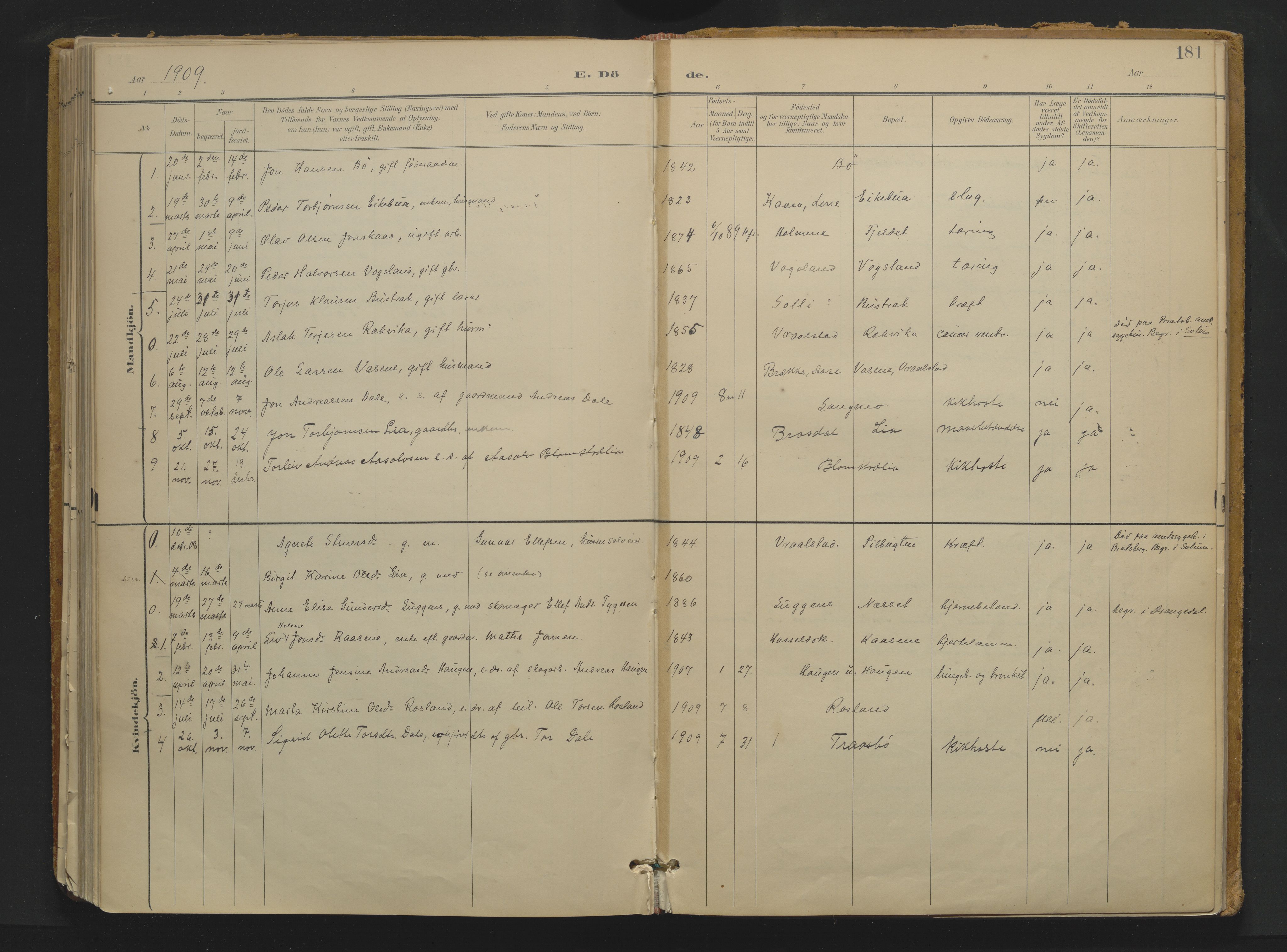 Drangedal kirkebøker, SAKO/A-258/F/Fa/L0013: Parish register (official) no. 13, 1895-1919, p. 181