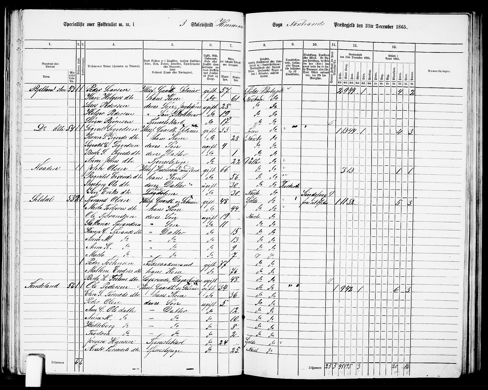 RA, 1865 census for Nedstrand, 1865, p. 47