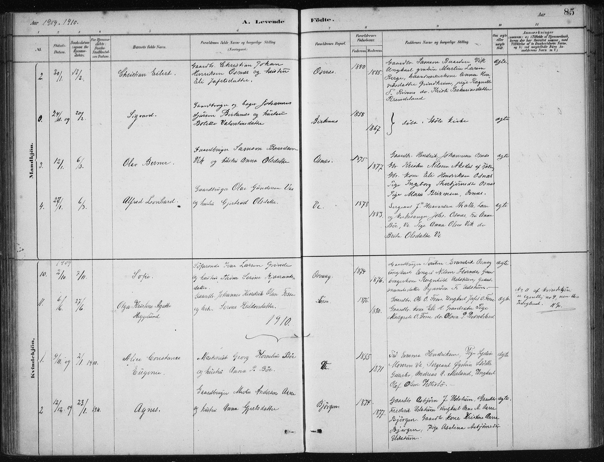 Etne sokneprestembete, AV/SAB-A-75001/H/Haa: Parish register (official) no. C  1, 1879-1919, p. 85