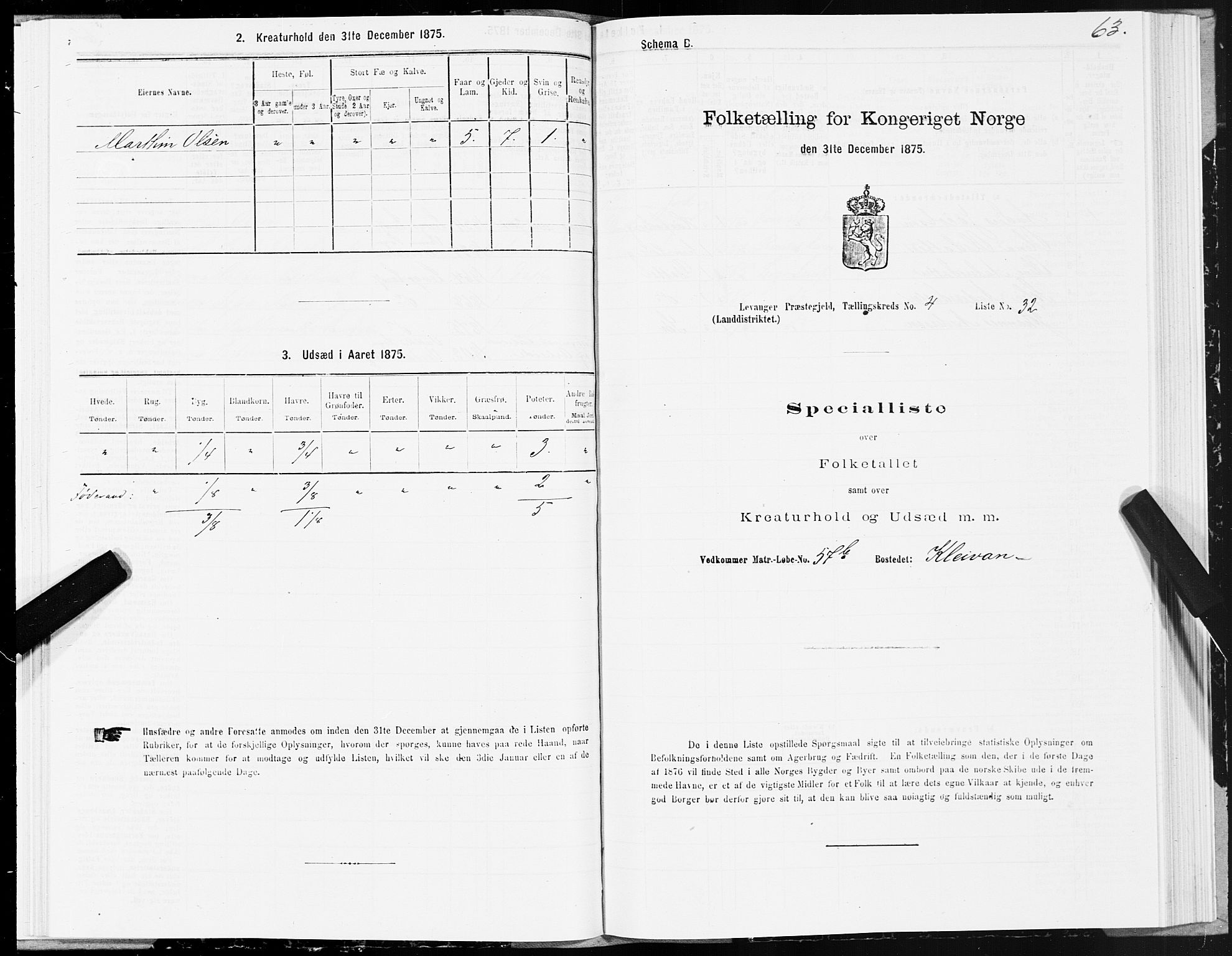 SAT, 1875 census for 1720L Levanger/Levanger, 1875, p. 3063