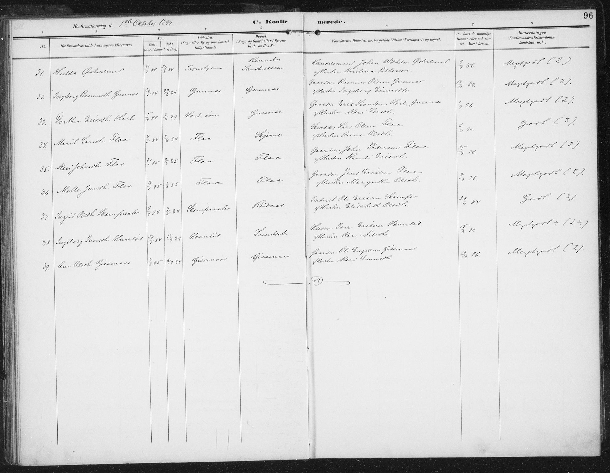 Ministerialprotokoller, klokkerbøker og fødselsregistre - Sør-Trøndelag, AV/SAT-A-1456/674/L0872: Parish register (official) no. 674A04, 1897-1907, p. 96