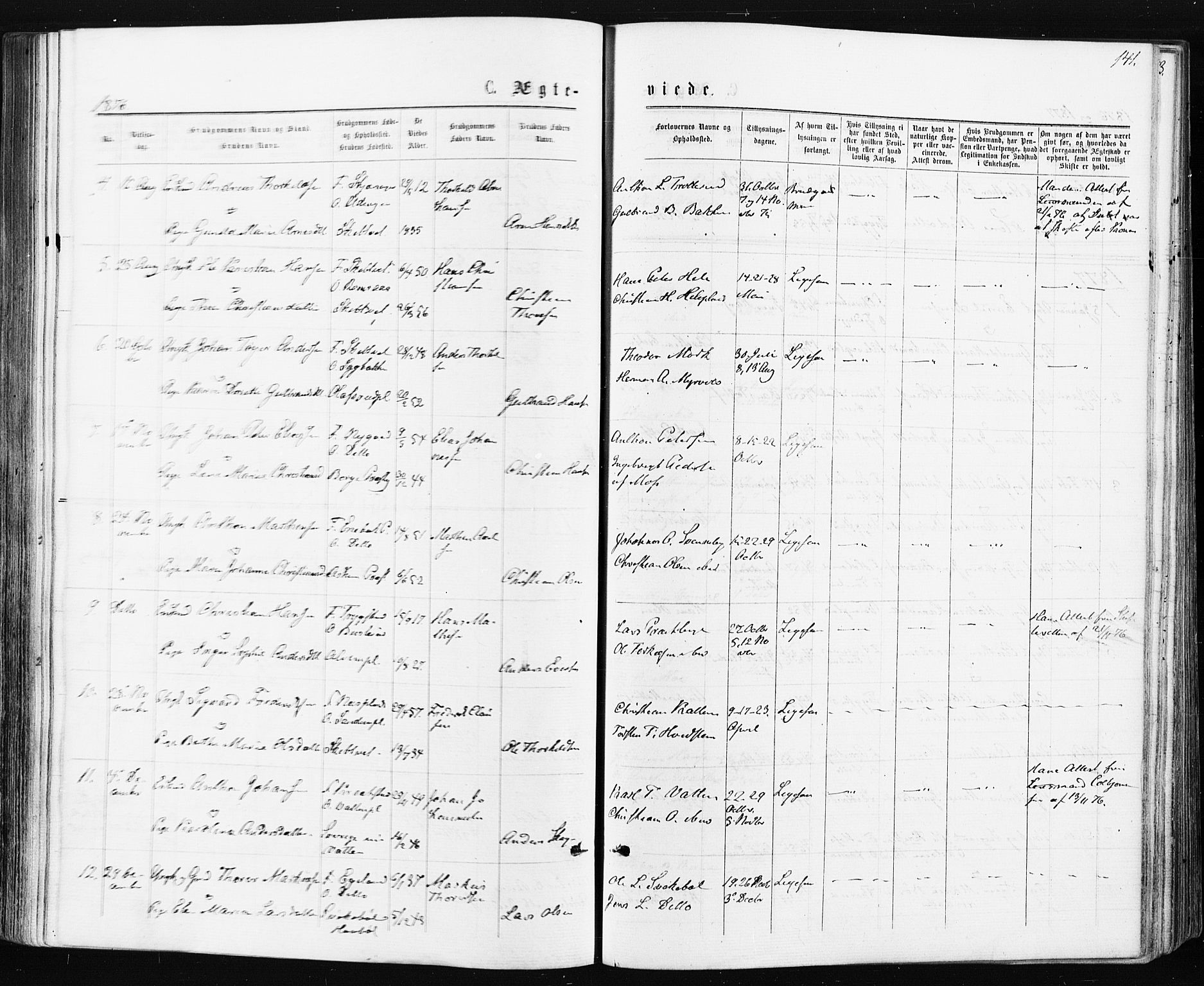 Spydeberg prestekontor Kirkebøker, AV/SAO-A-10924/F/Fa/L0007: Parish register (official) no. I 7, 1875-1885, p. 141