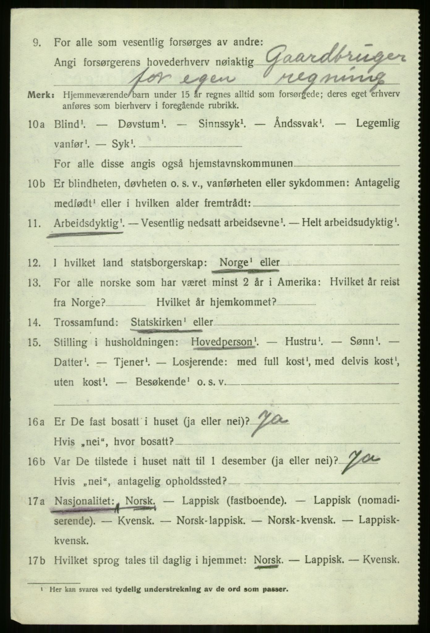 SATØ, 1920 census for Tromsøysund, 1920, p. 11733
