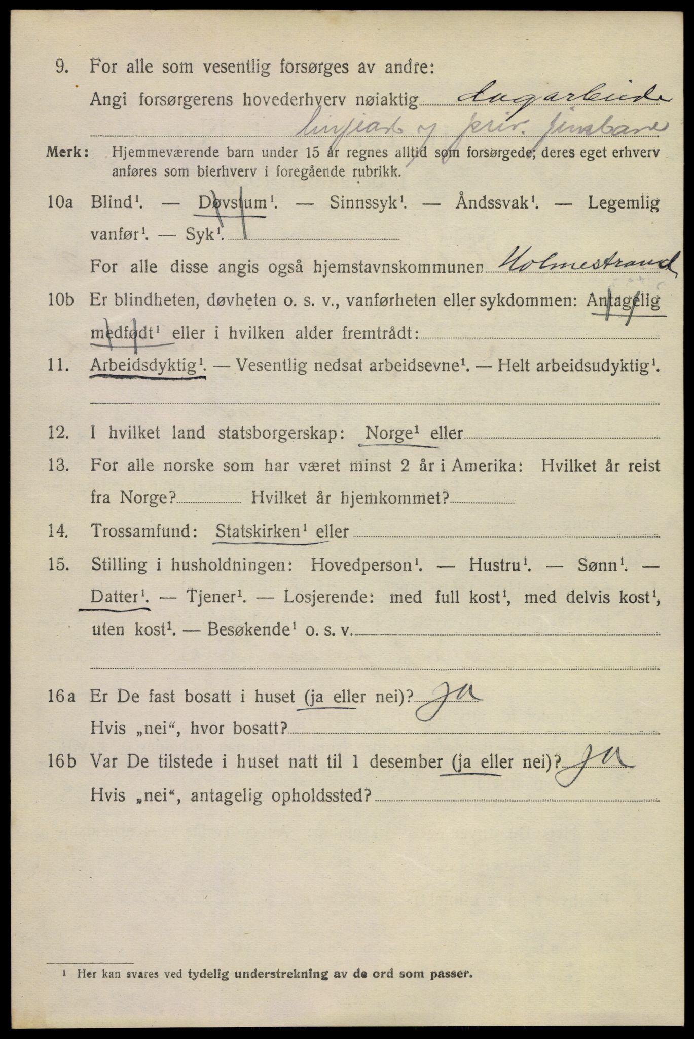 SAKO, 1920 census for Holmestrand, 1920, p. 3225