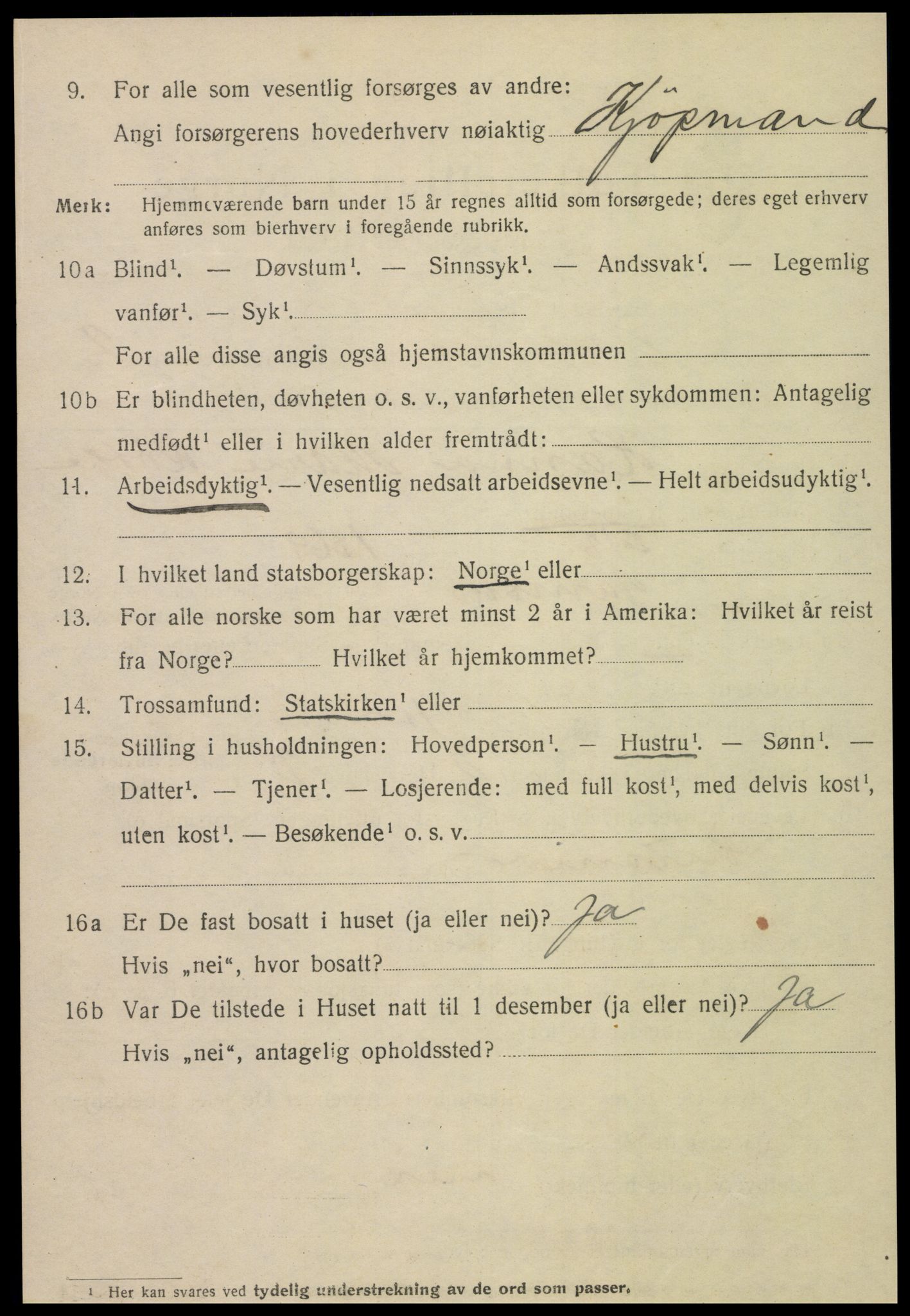 SAT, 1920 census for Namsos, 1920, p. 3734