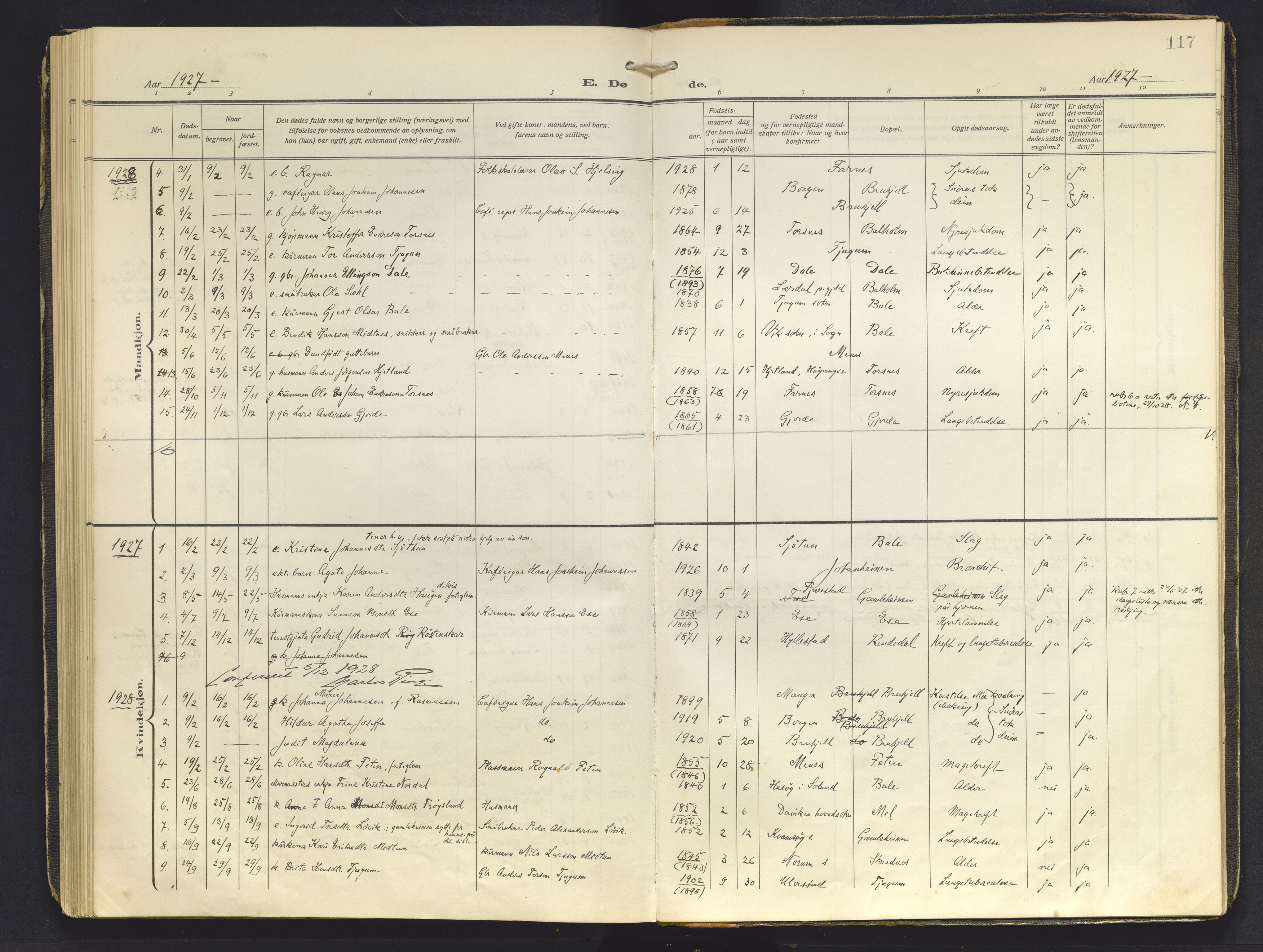 Balestrand sokneprestembete, AV/SAB-A-79601/H/Haa/Haab/L0002: Parish register (official) no. B 2, 1911-1932, p. 117