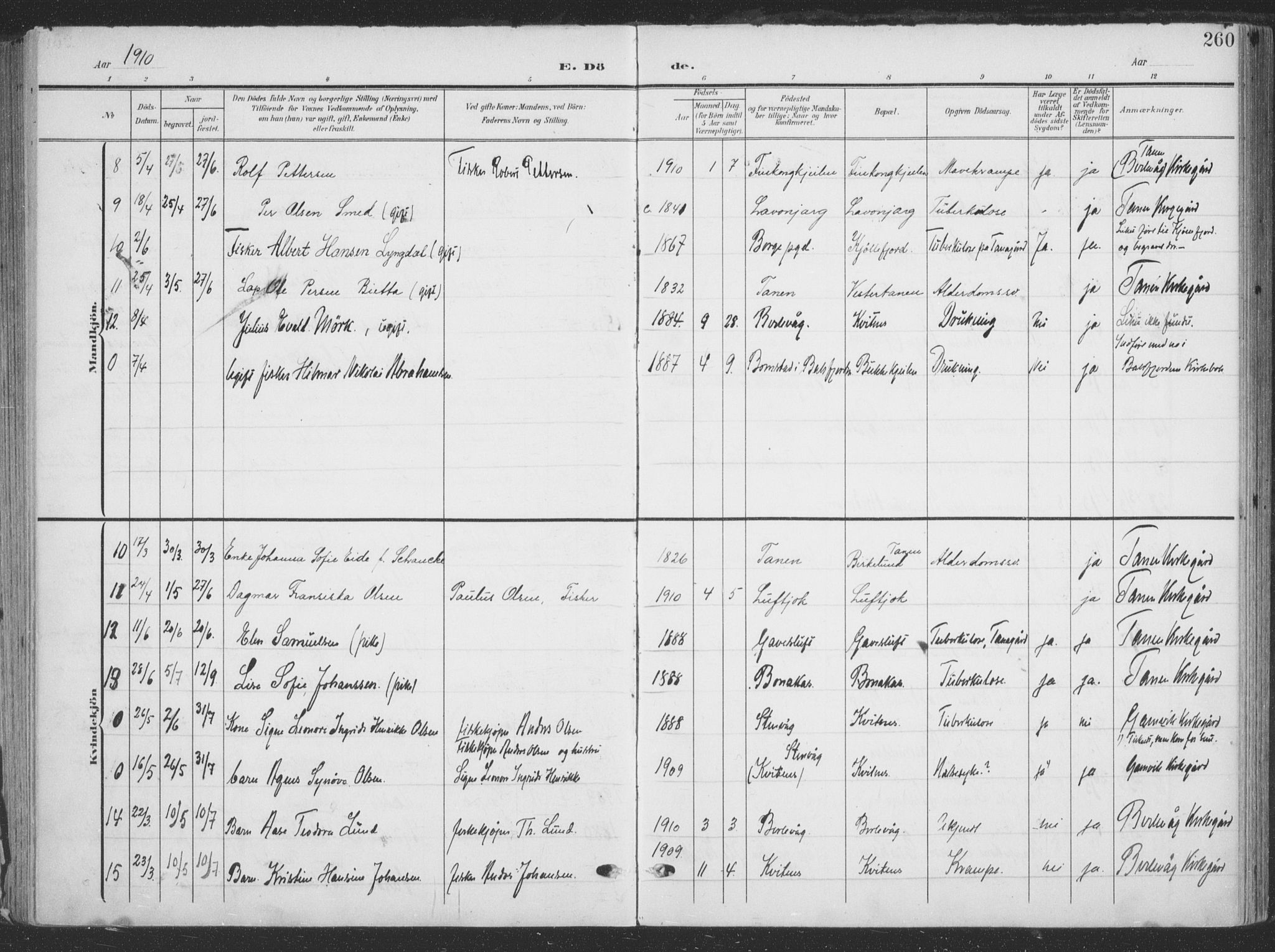 Tana sokneprestkontor, AV/SATØ-S-1334/H/Ha/L0007kirke: Parish register (official) no. 7, 1904-1918, p. 260