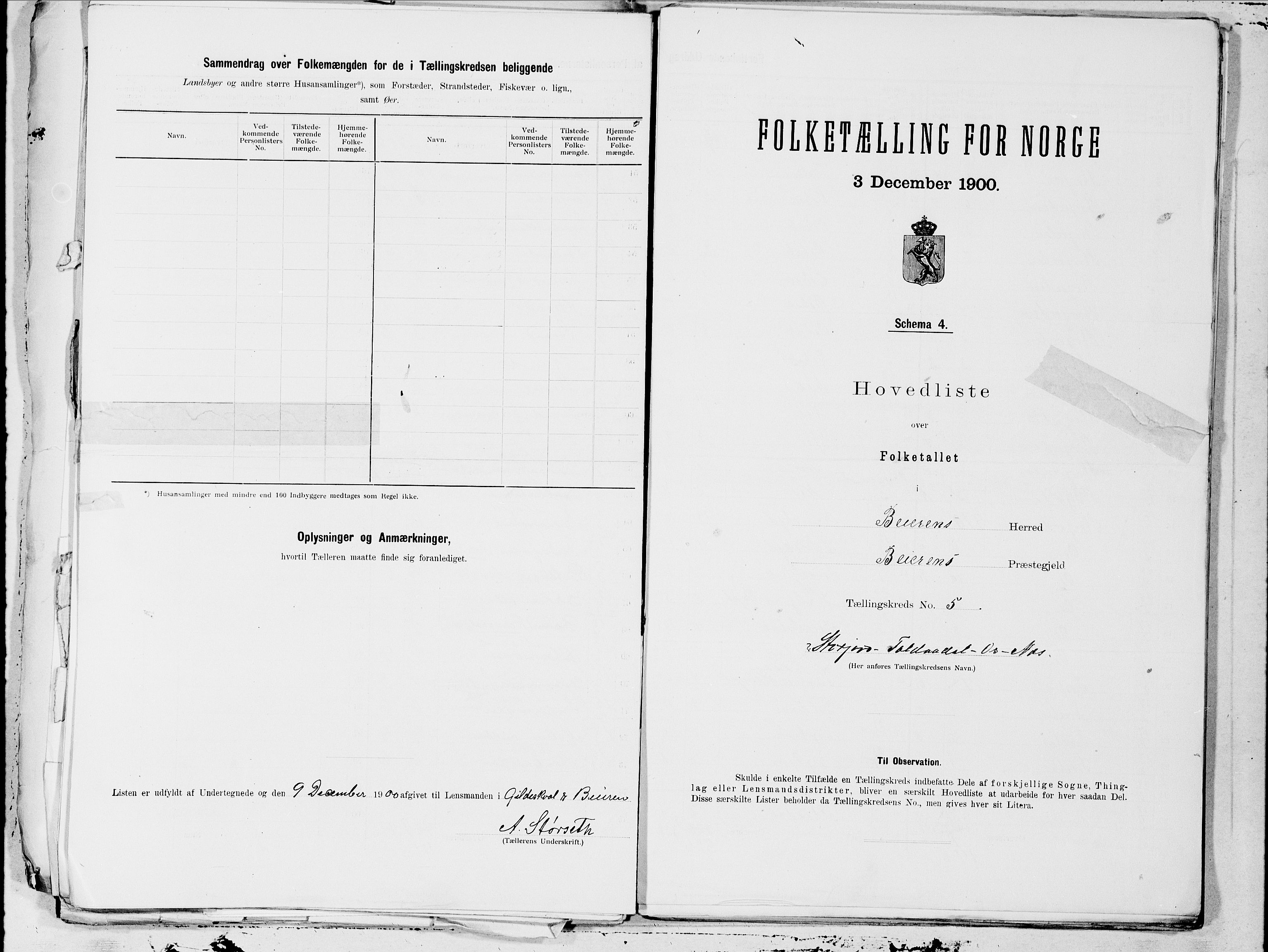 SAT, 1900 census for Beiarn, 1900, p. 10