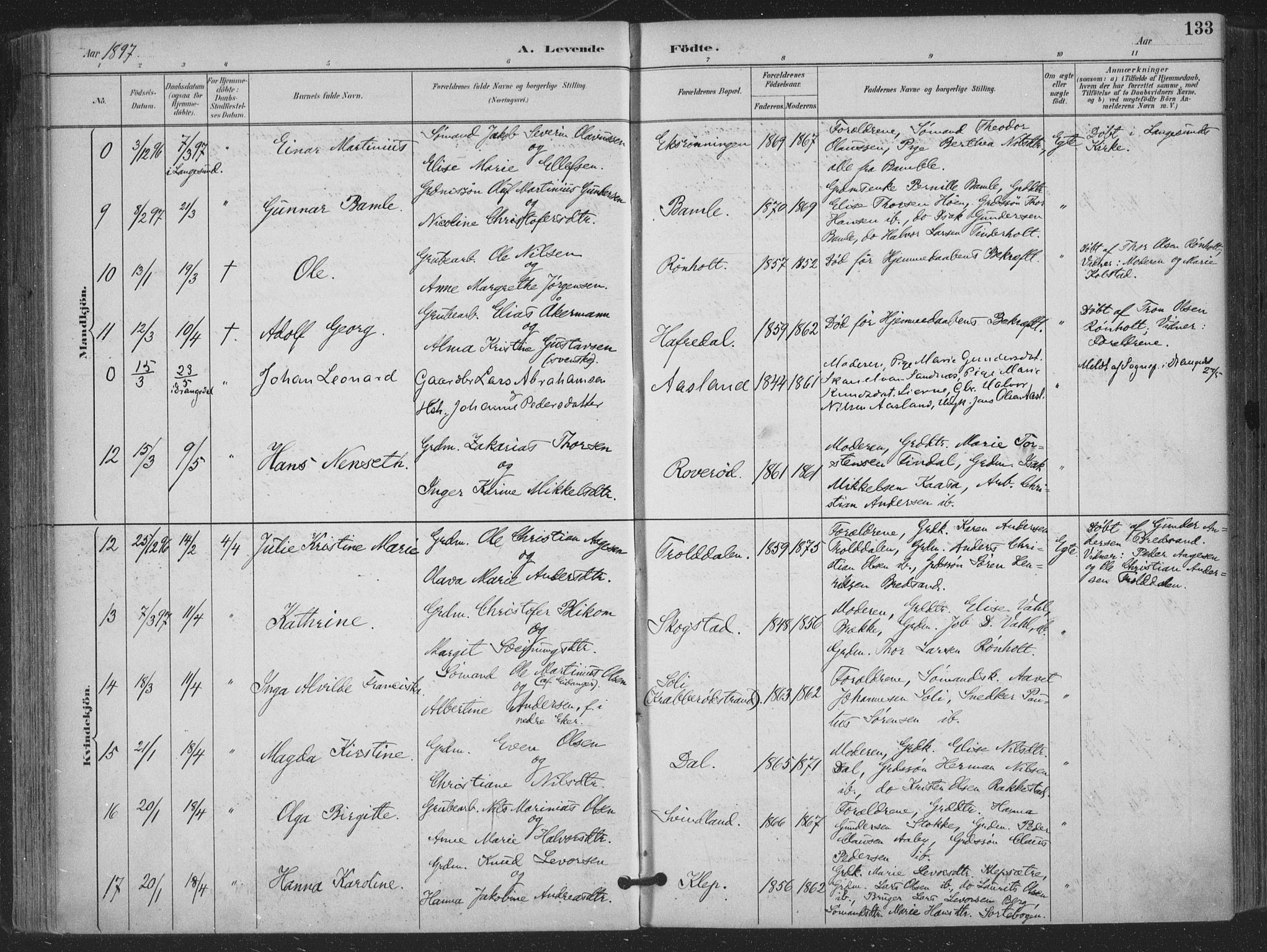 Bamble kirkebøker, AV/SAKO-A-253/F/Fa/L0008: Parish register (official) no. I 8, 1888-1900, p. 133