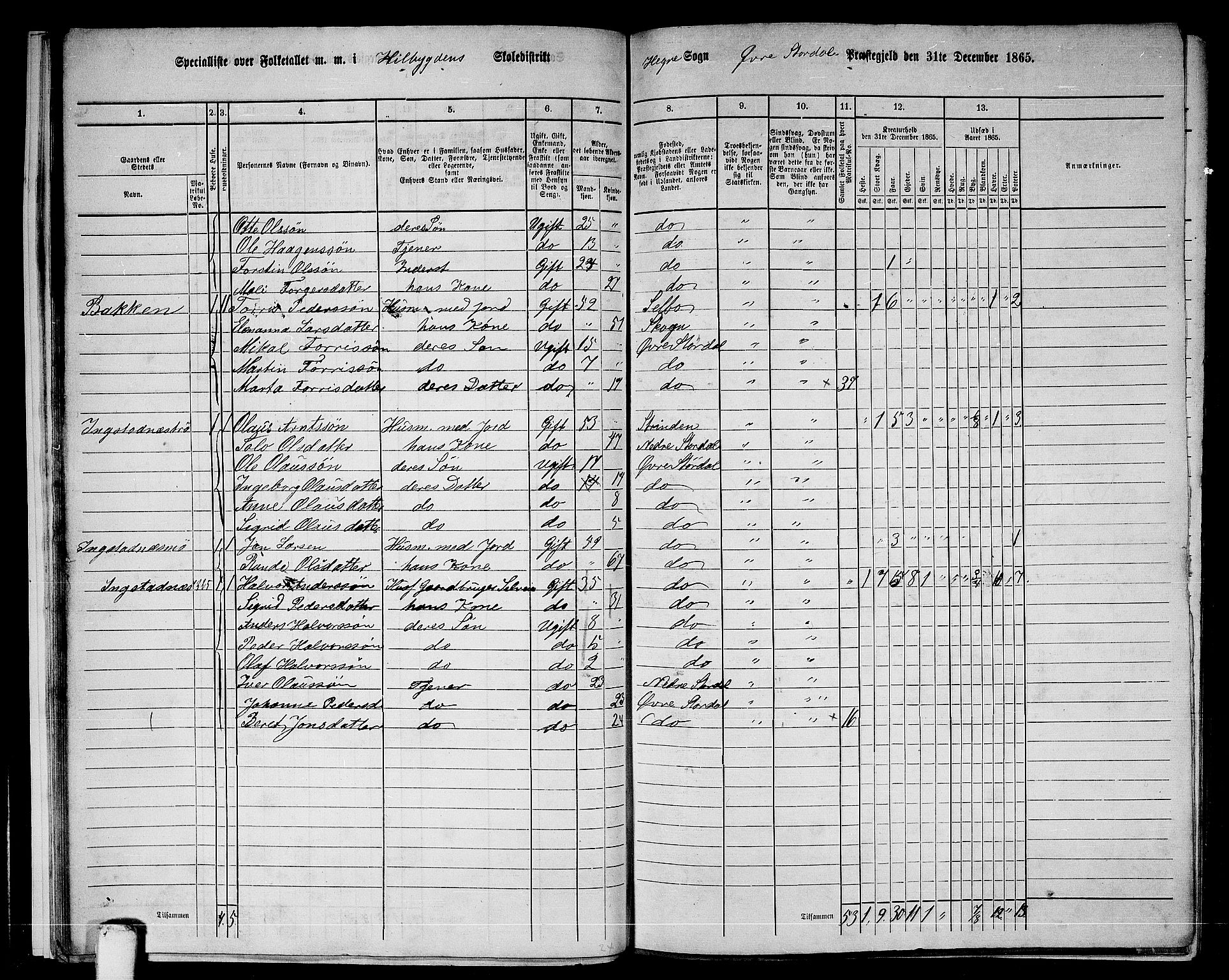 RA, 1865 census for Øvre Stjørdal, 1865, p. 21