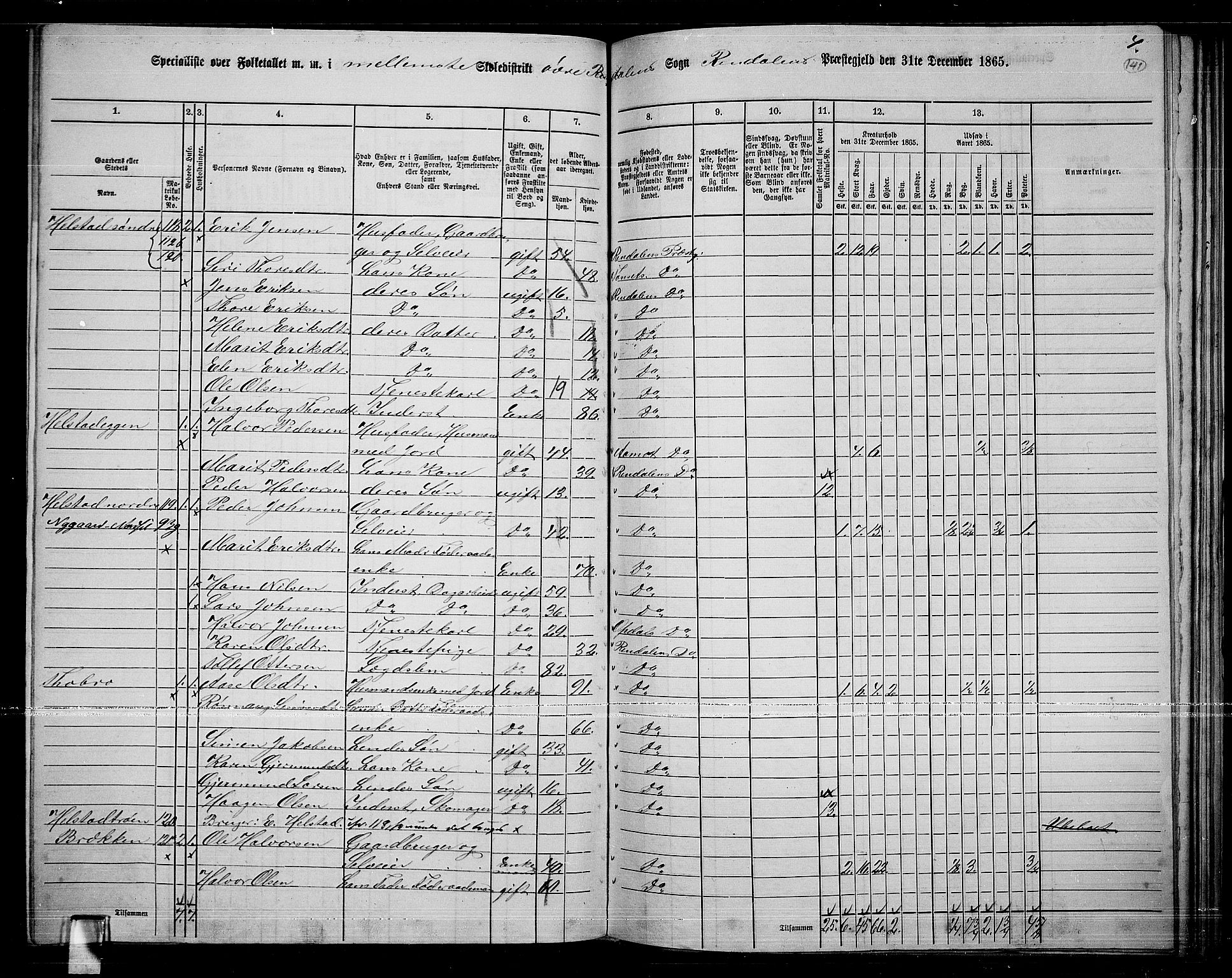RA, 1865 census for Rendalen, 1865, p. 120