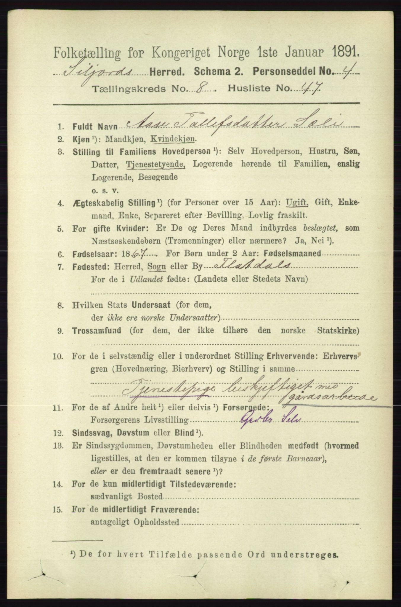 RA, 1891 census for 0828 Seljord, 1891, p. 3107