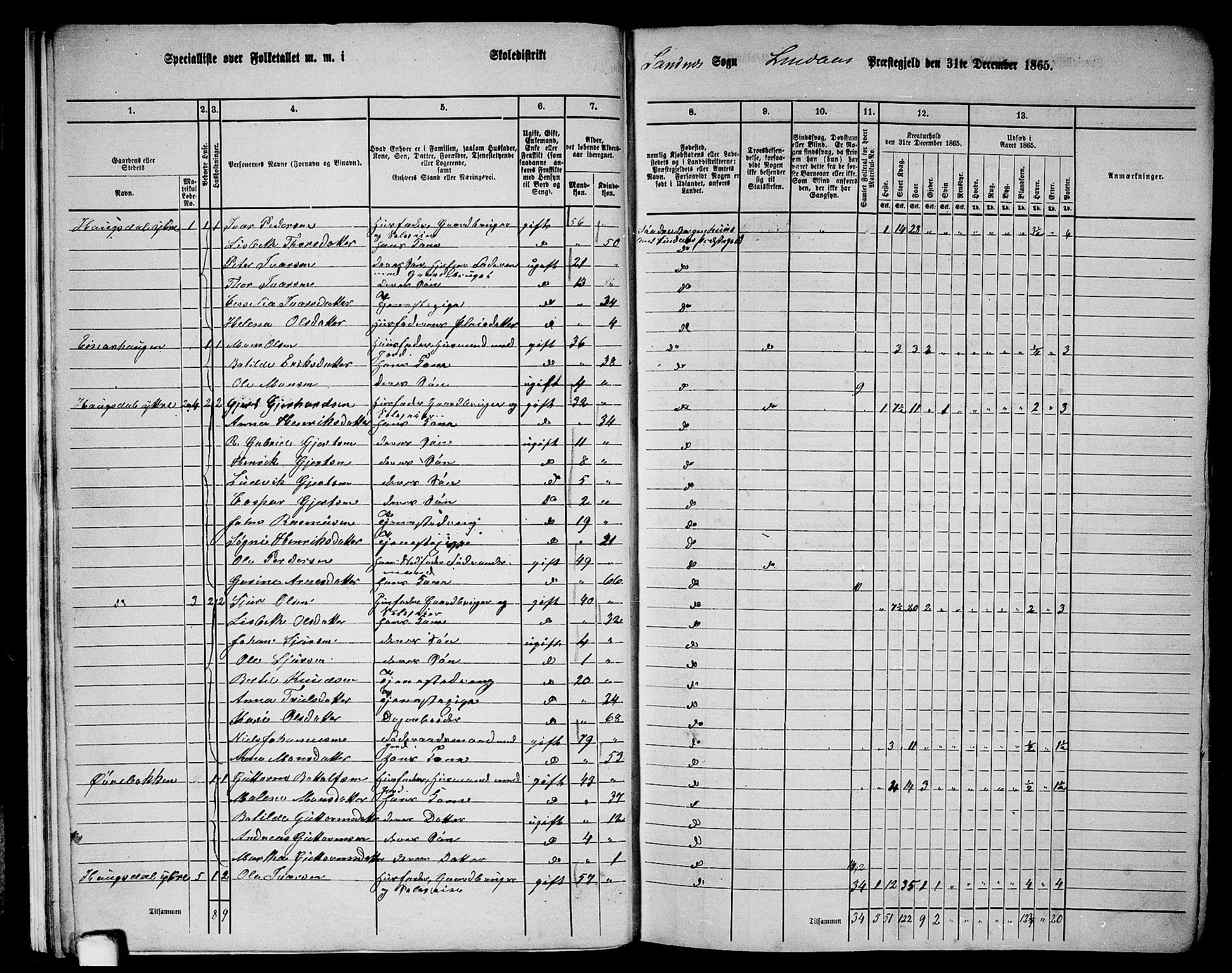 RA, 1865 census for Lindås, 1865, p. 17