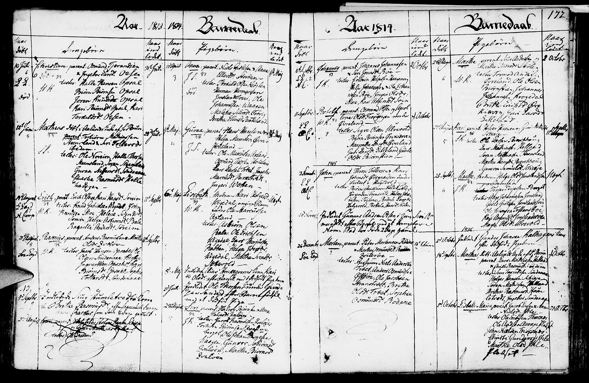 Vikedal sokneprestkontor, SAST/A-101840/01/IV: Parish register (official) no. A 2, 1779-1817, p. 172