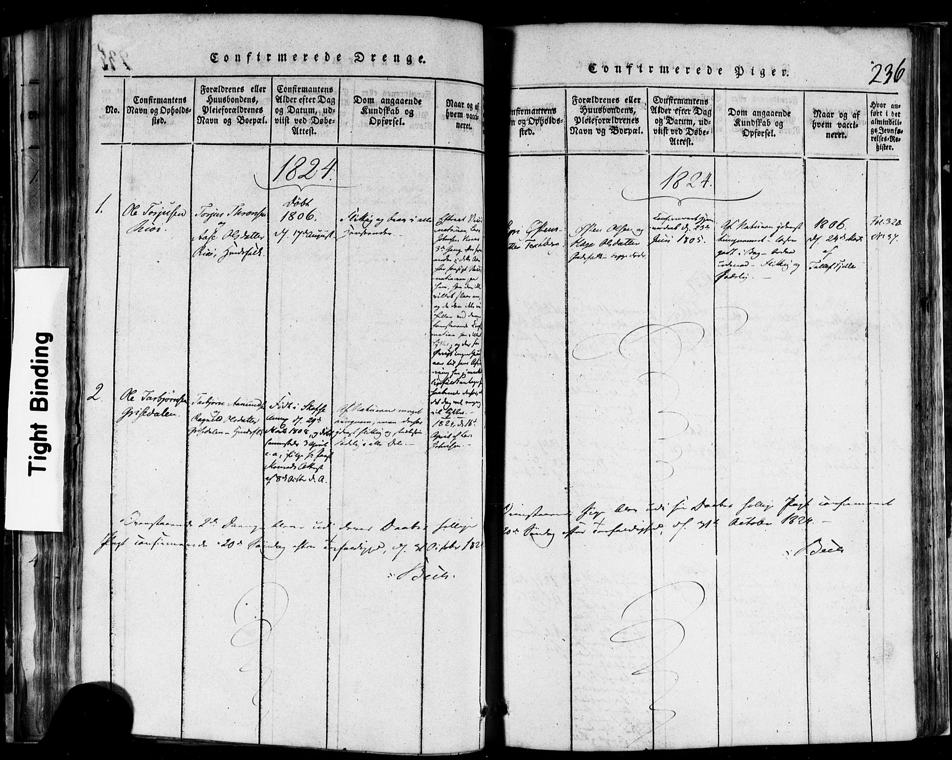 Rauland kirkebøker, SAKO/A-292/F/Fa/L0002: Parish register (official) no. 2, 1815-1860, p. 236