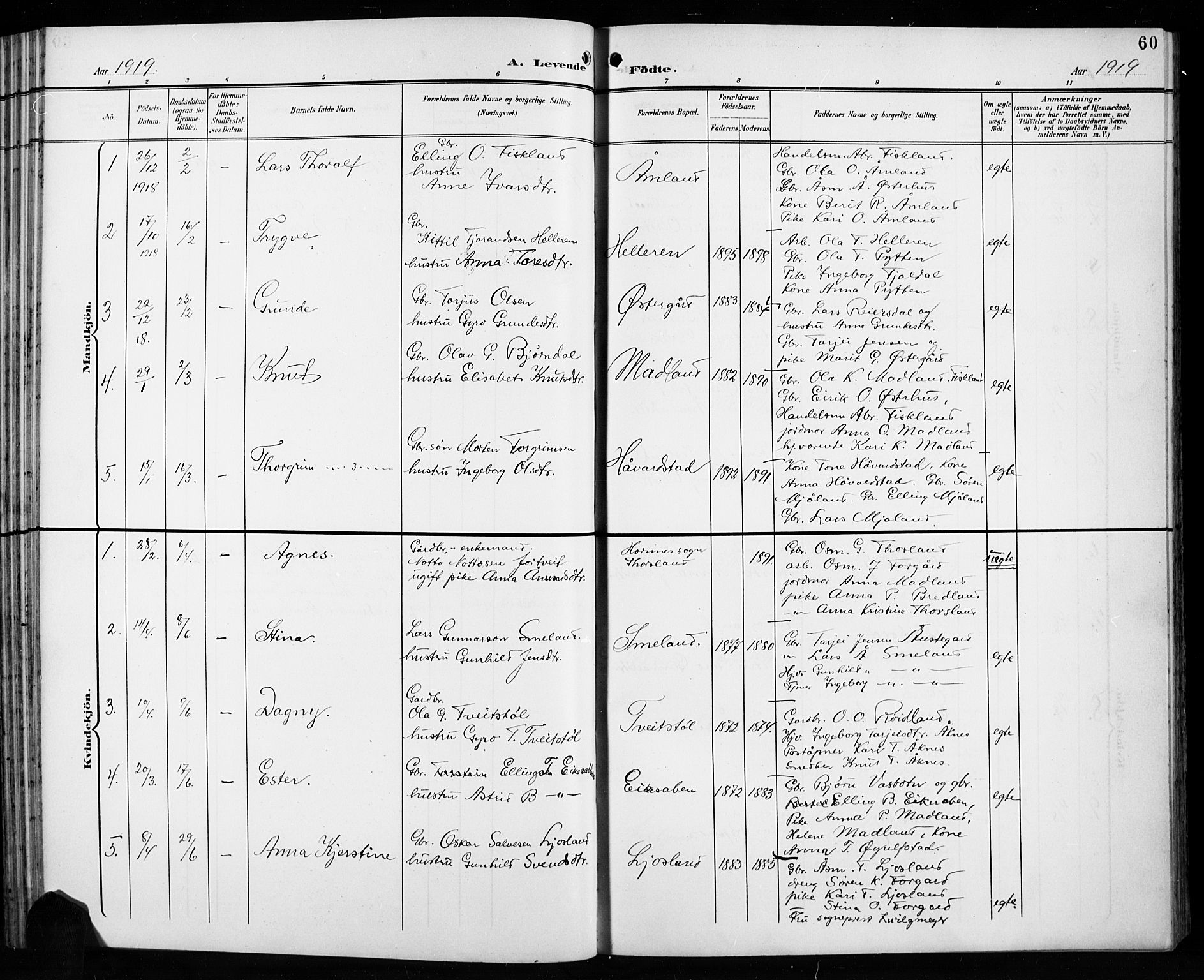 Åseral sokneprestkontor, AV/SAK-1111-0051/F/Fb/L0003: Parish register (copy) no. B 3, 1900-1919, p. 60