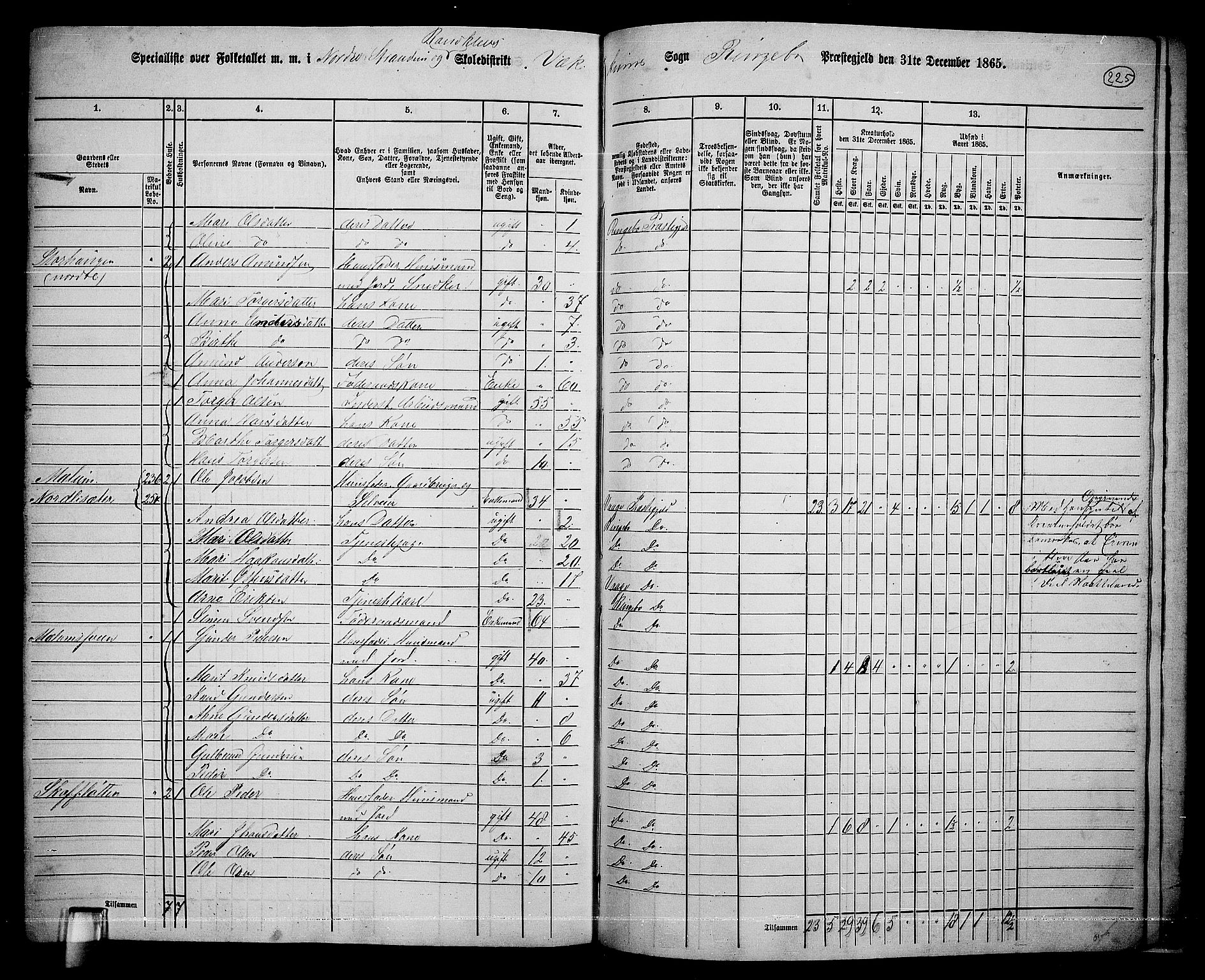 RA, 1865 census for Ringebu, 1865, p. 196