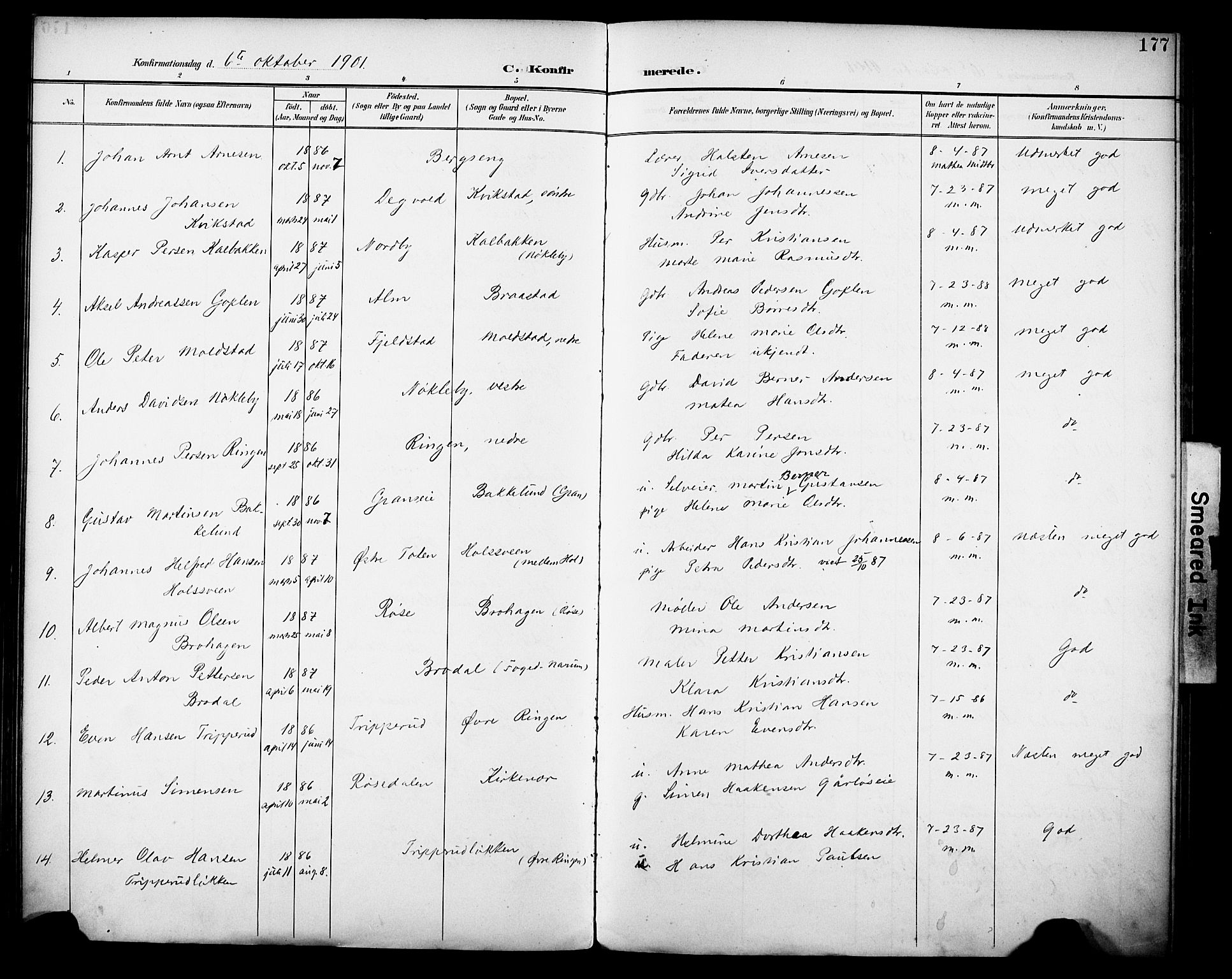 Vestre Toten prestekontor, SAH/PREST-108/H/Ha/Haa/L0013: Parish register (official) no. 13, 1895-1911, p. 177