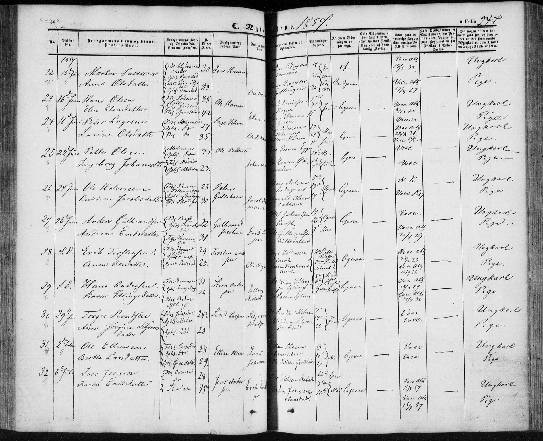 Lier kirkebøker, AV/SAKO-A-230/F/Fa/L0012: Parish register (official) no. I 12, 1854-1864, p. 247