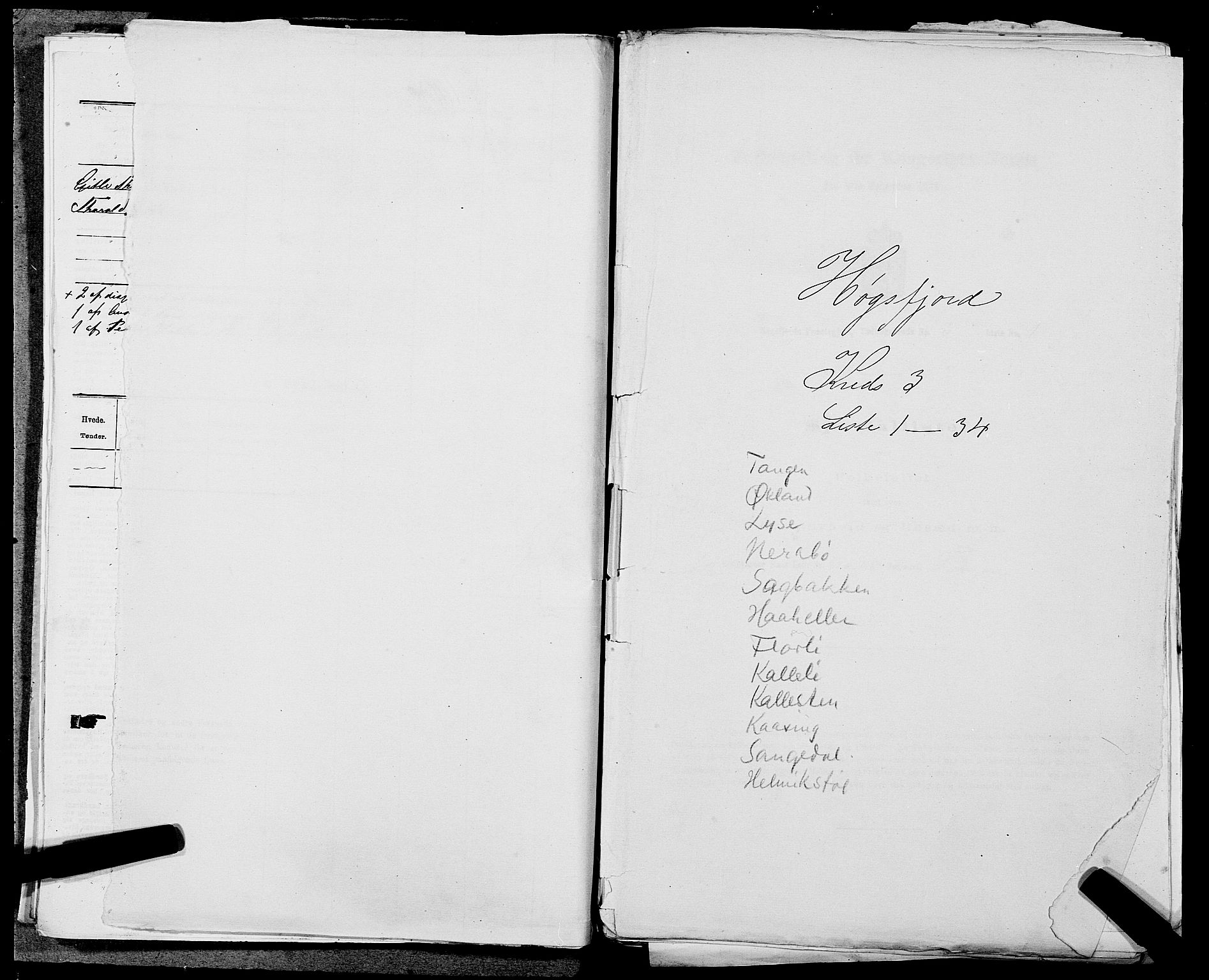 SAST, 1875 census for 1128P Høgsfjord, 1875, p. 239