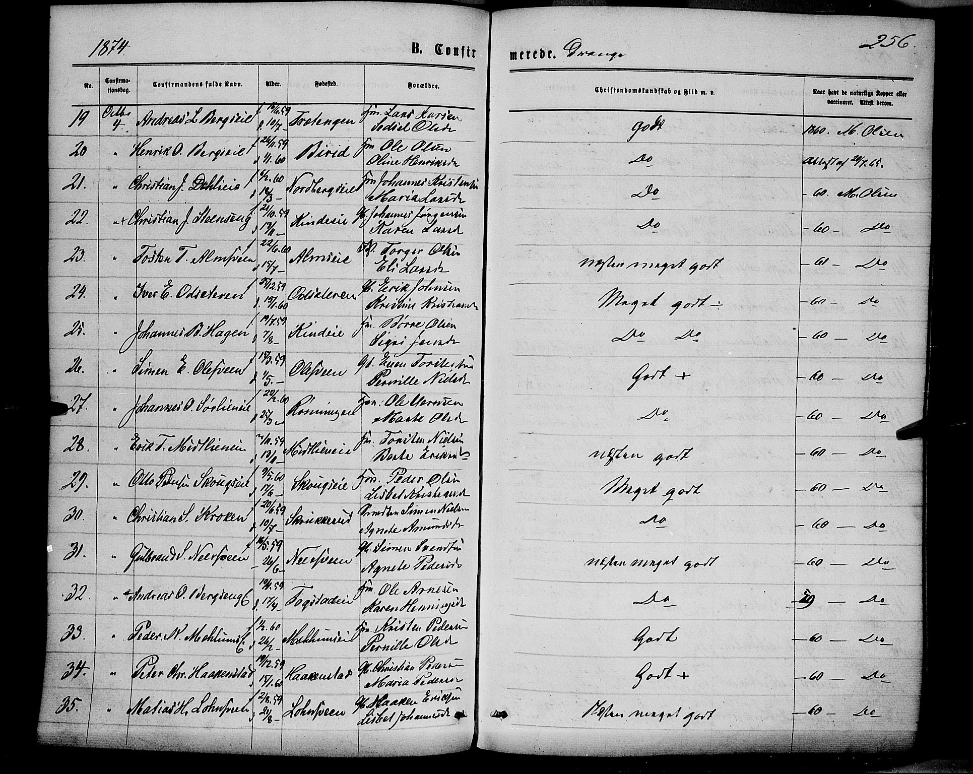 Ringsaker prestekontor, AV/SAH-PREST-014/K/Ka/L0011: Parish register (official) no. 11, 1870-1878, p. 256