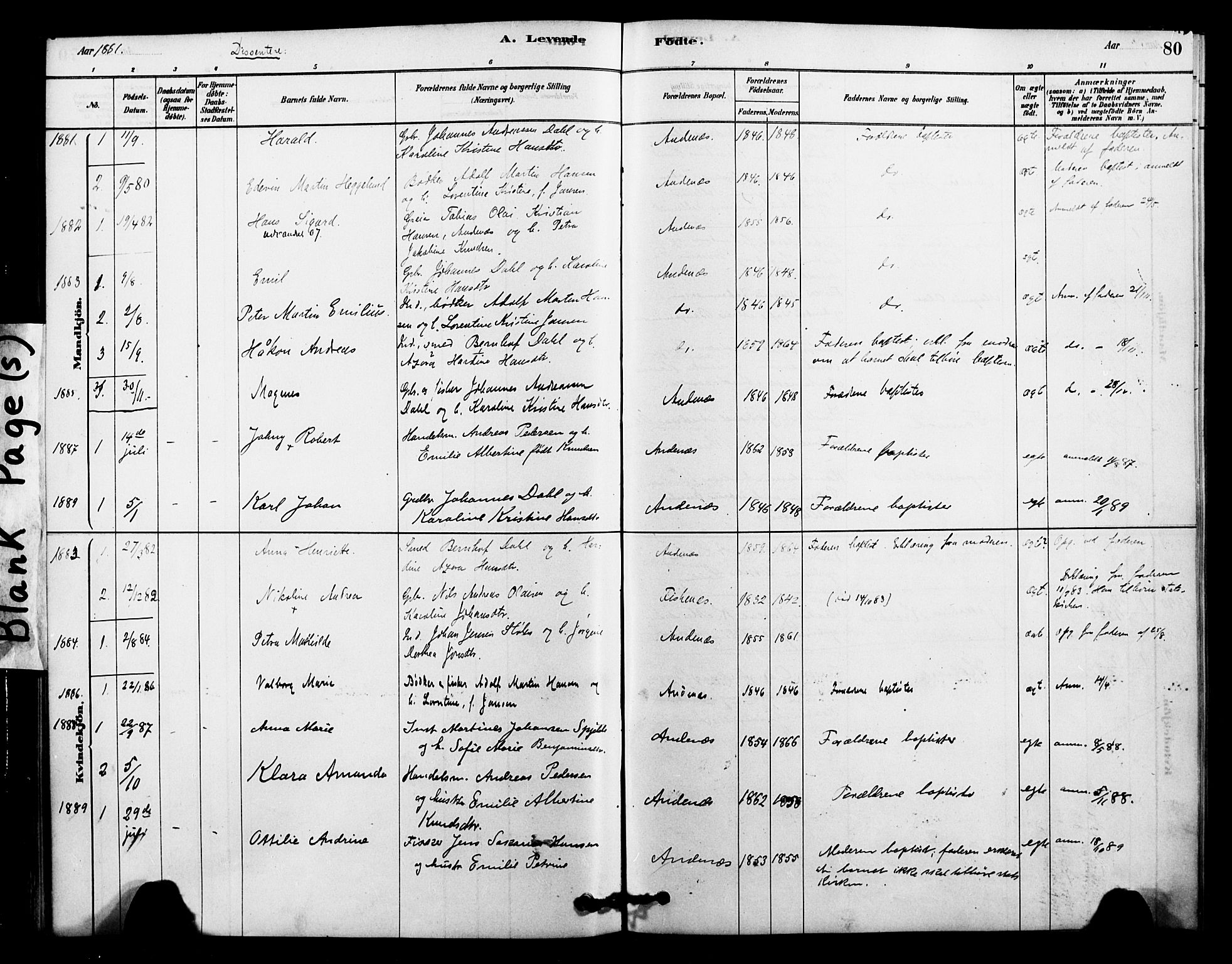 Ministerialprotokoller, klokkerbøker og fødselsregistre - Nordland, SAT/A-1459/899/L1436: Parish register (official) no. 899A04, 1881-1896, p. 80