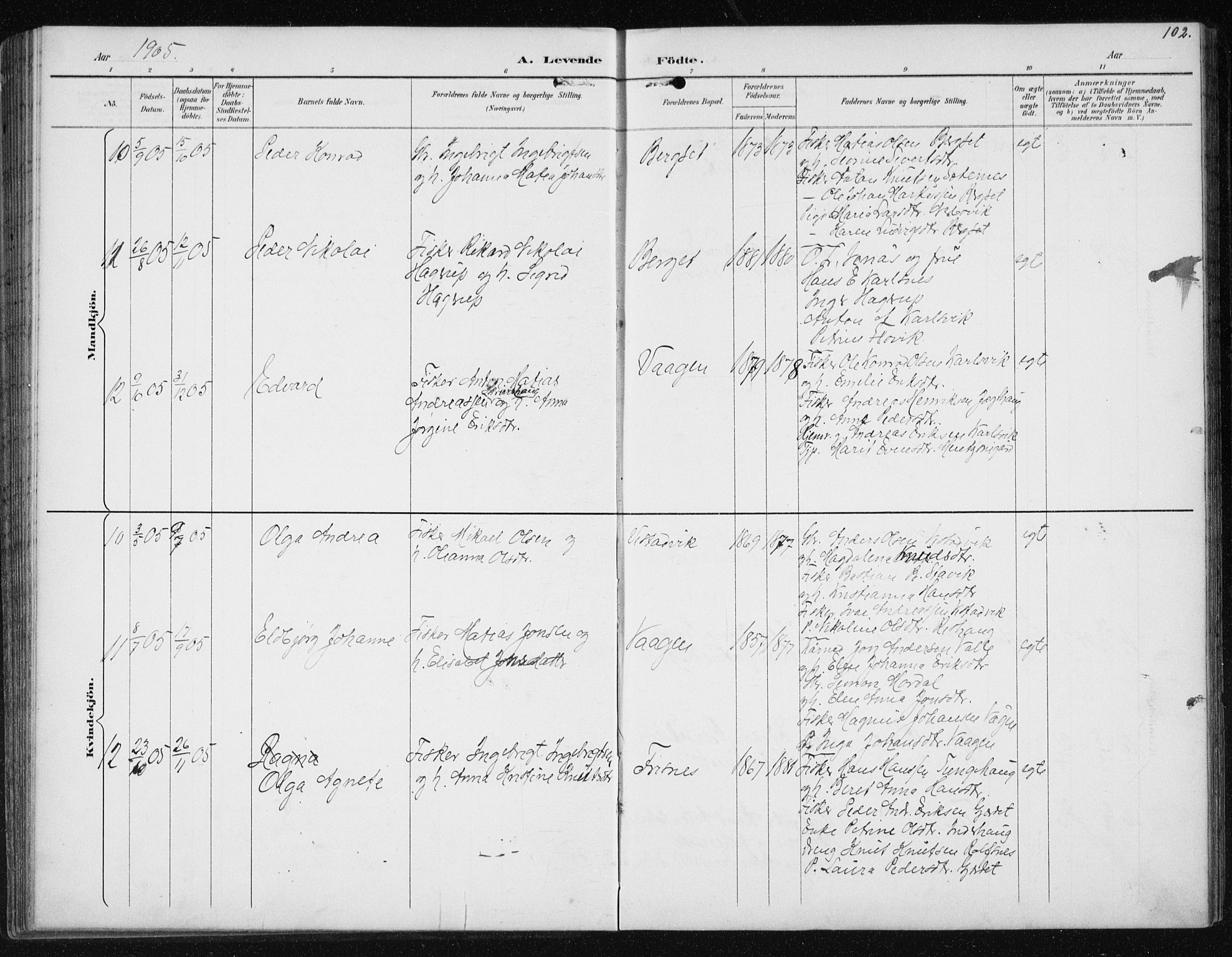 Ministerialprotokoller, klokkerbøker og fødselsregistre - Møre og Romsdal, AV/SAT-A-1454/566/L0773: Parish register (copy) no. 566C02, 1892-1909, p. 102