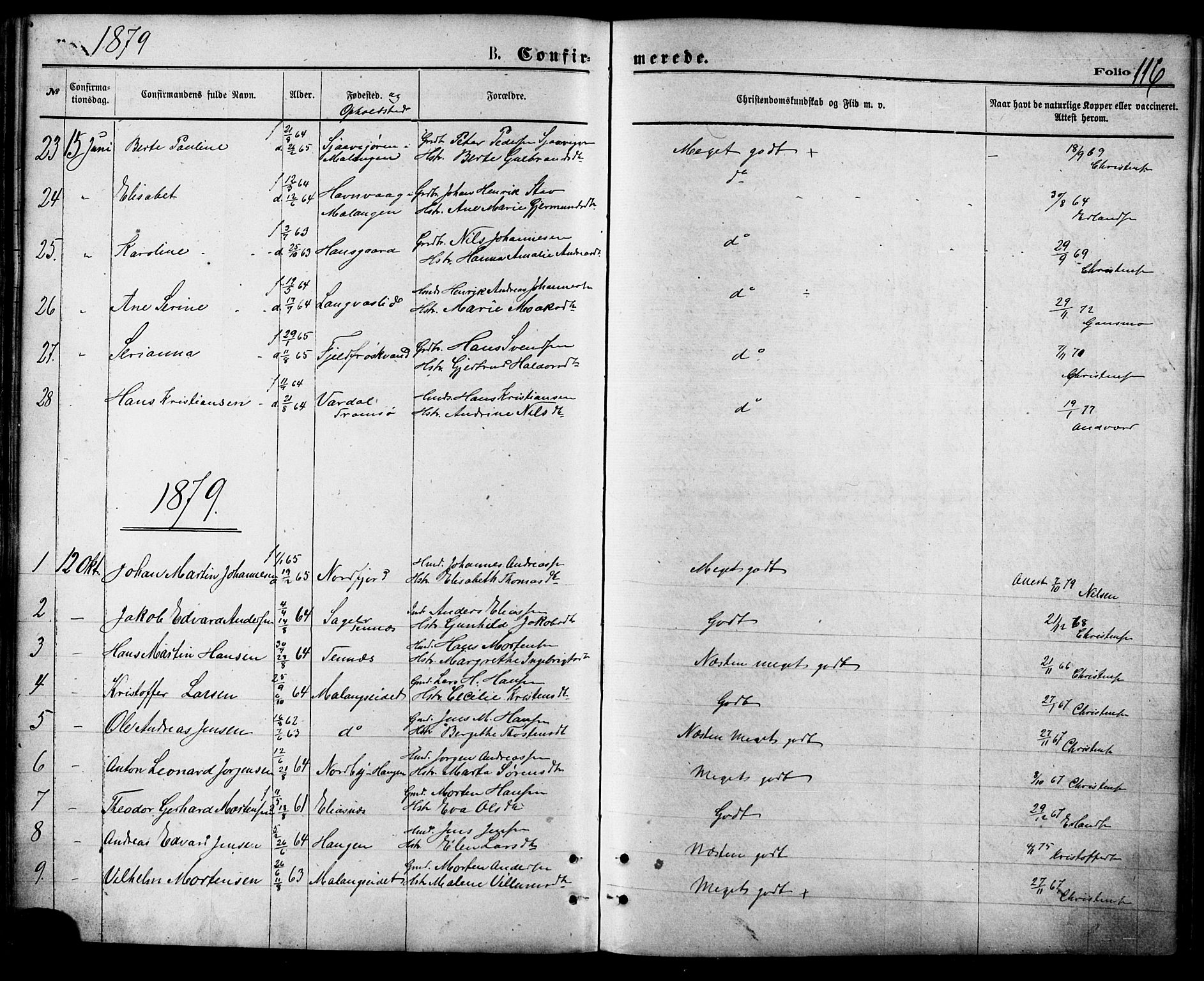 Balsfjord sokneprestembete, SATØ/S-1303/G/Ga/L0004kirke: Parish register (official) no. 4, 1871-1883, p. 116