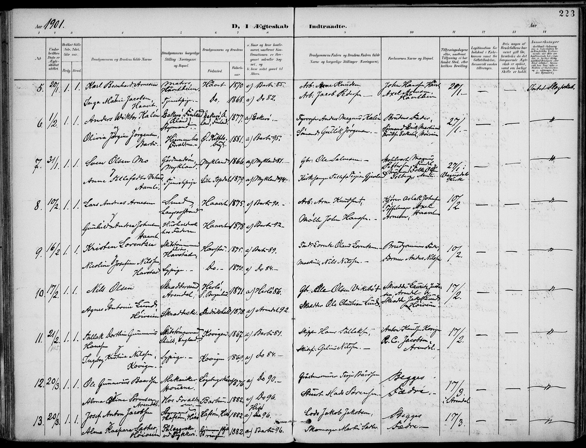 Barbu sokneprestkontor, AV/SAK-1111-0003/F/Fa/L0005: Parish register (official) no. A 5, 1899-1909, p. 223