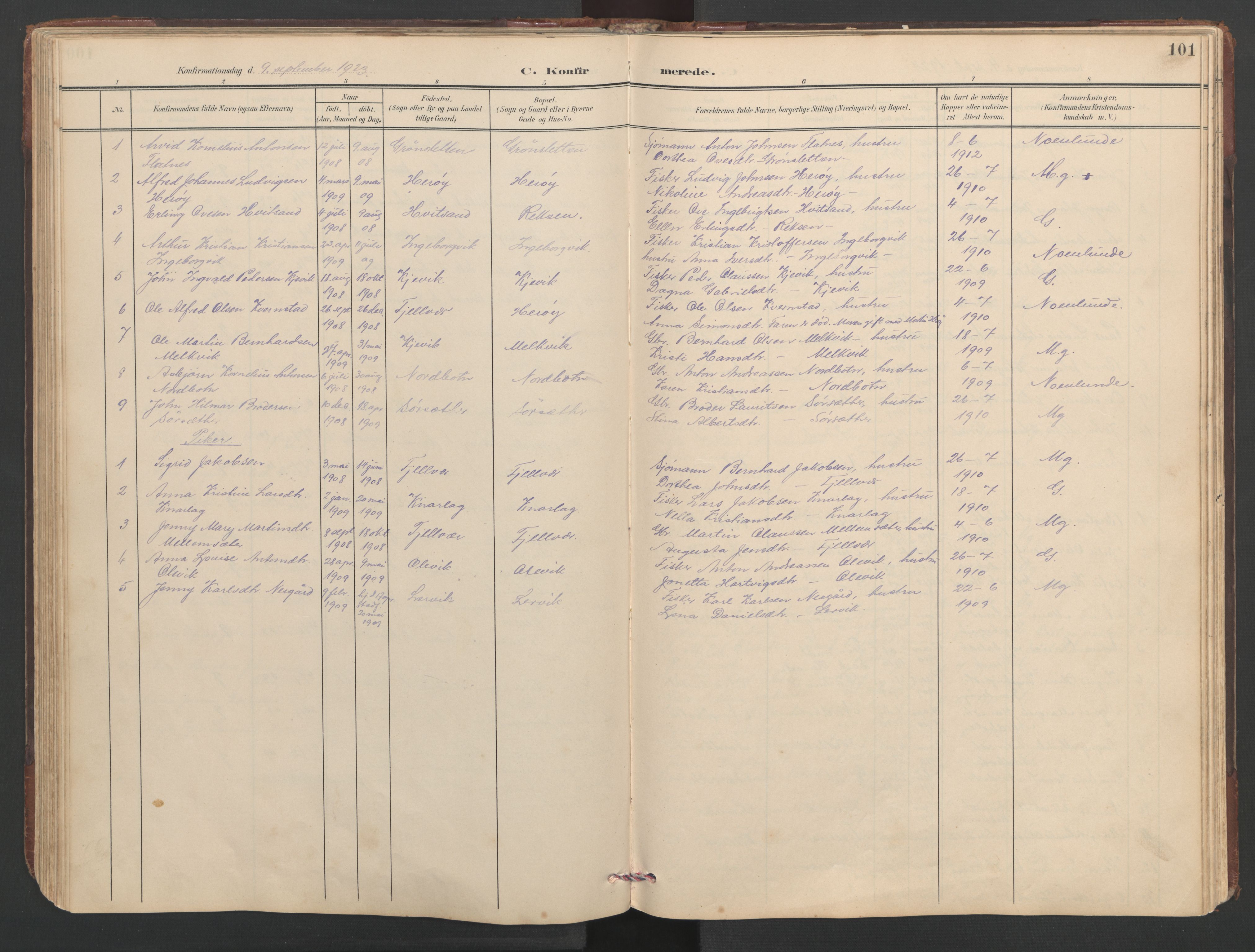 Ministerialprotokoller, klokkerbøker og fødselsregistre - Sør-Trøndelag, SAT/A-1456/638/L0571: Parish register (copy) no. 638C03, 1901-1930, p. 101