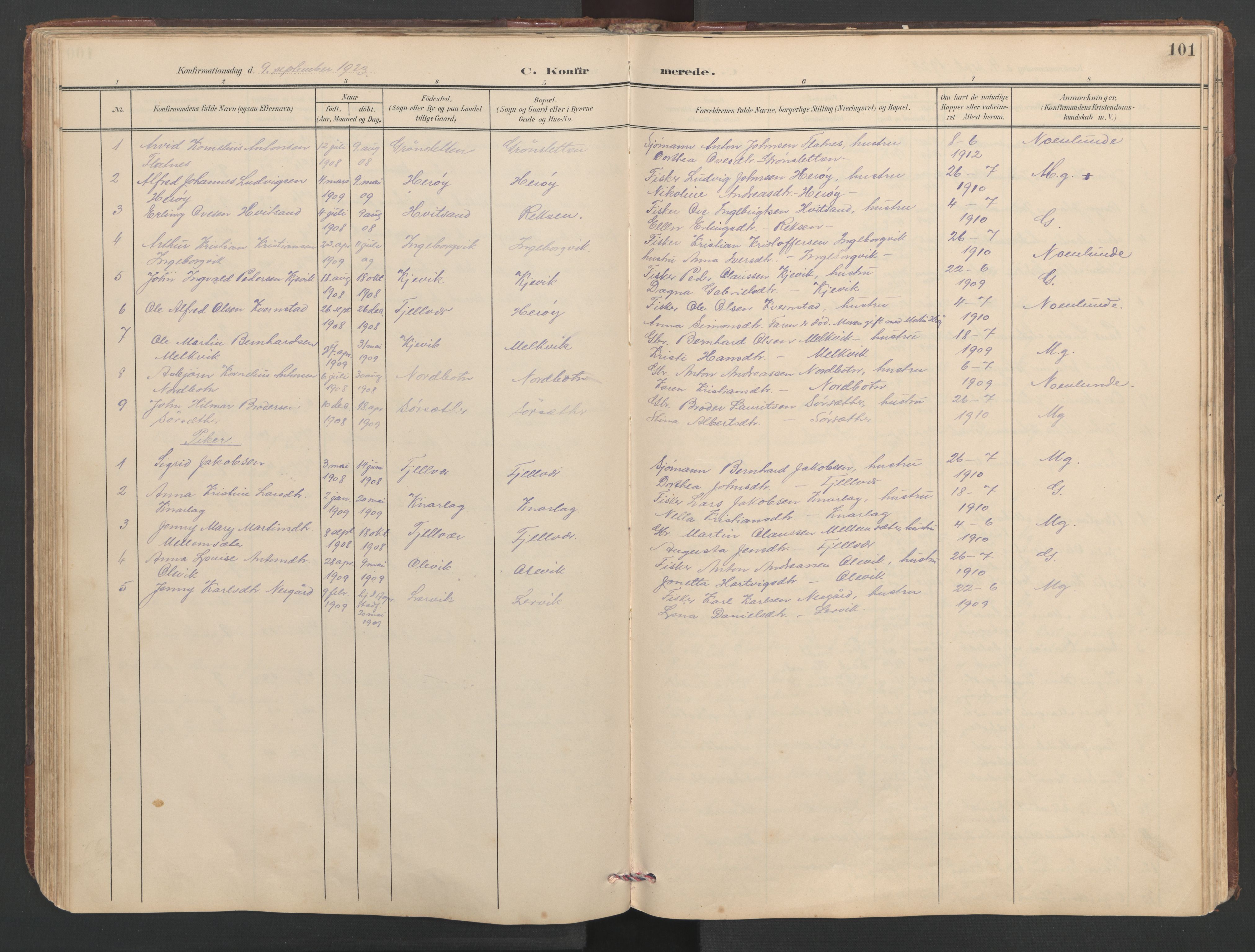 Ministerialprotokoller, klokkerbøker og fødselsregistre - Sør-Trøndelag, AV/SAT-A-1456/638/L0571: Parish register (copy) no. 638C03, 1901-1930, p. 101