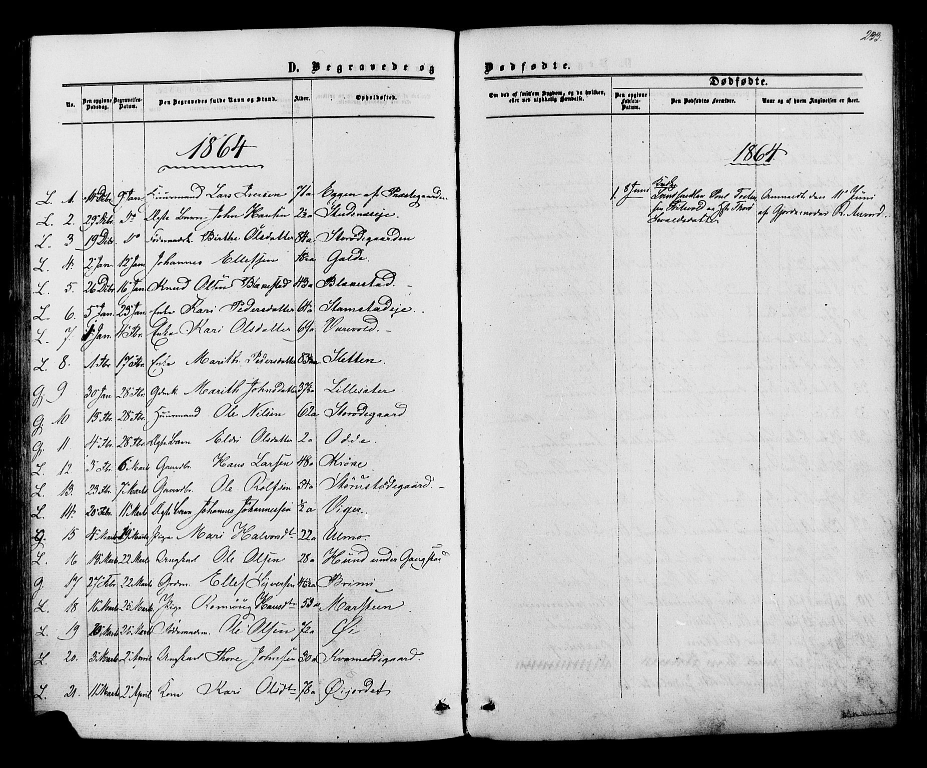 Lom prestekontor, SAH/PREST-070/K/L0007: Parish register (official) no. 7, 1863-1884, p. 233