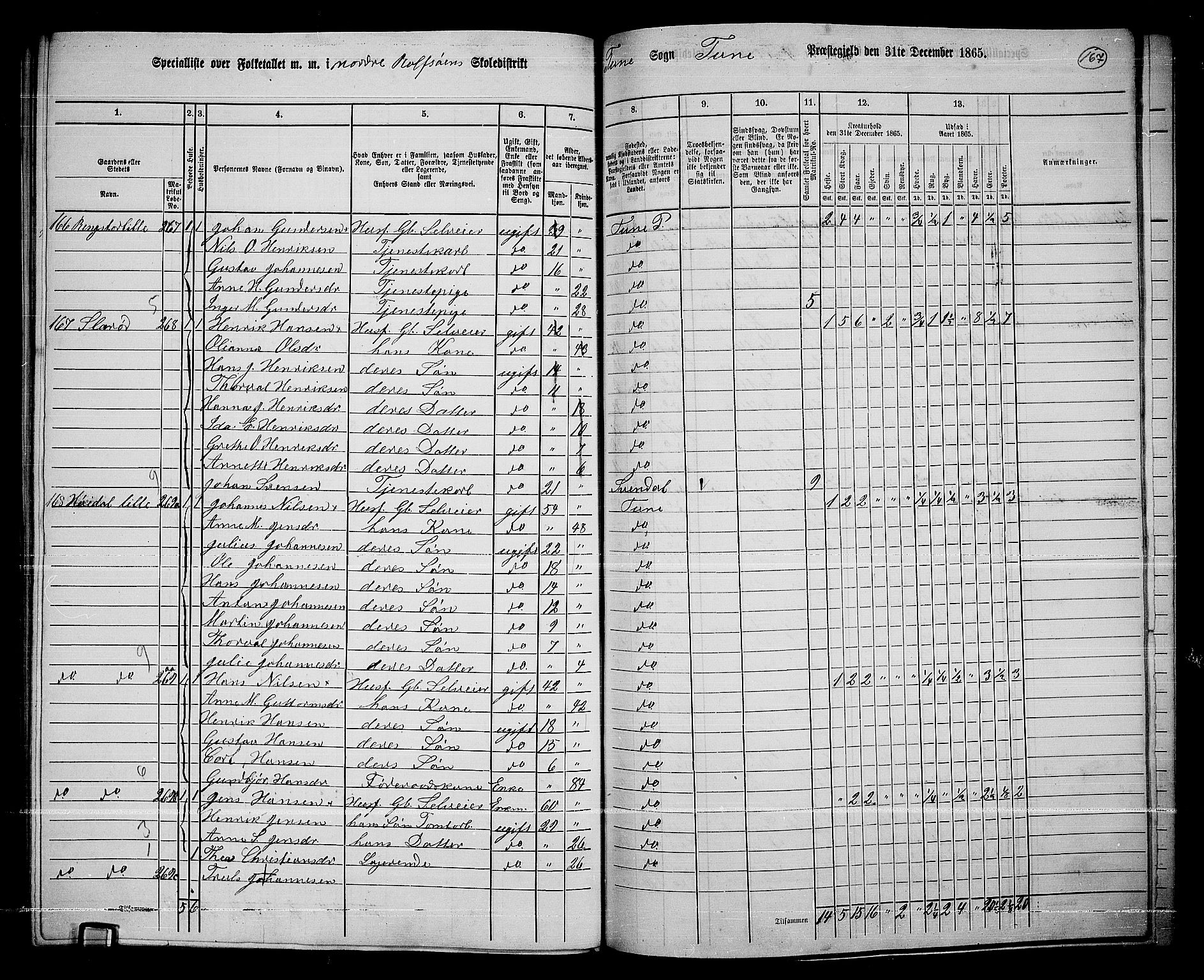 RA, 1865 census for Tune, 1865, p. 246