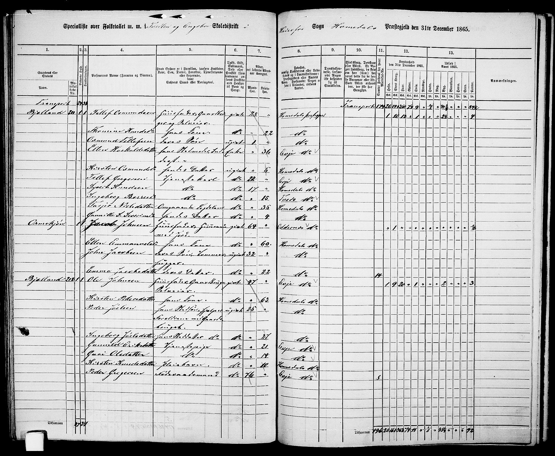 RA, 1865 census for Homedal, 1865, p. 150