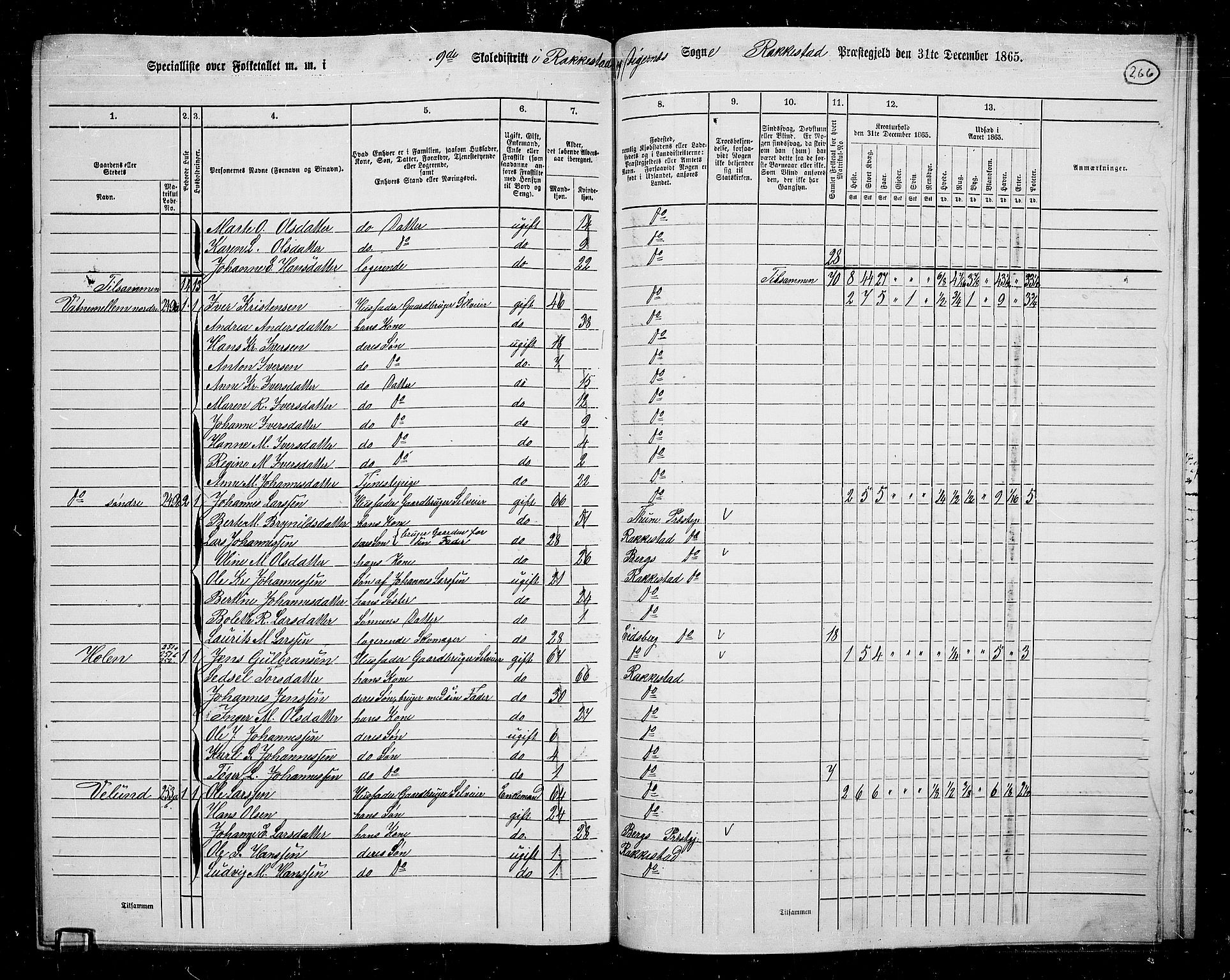 RA, 1865 census for Rakkestad, 1865, p. 255