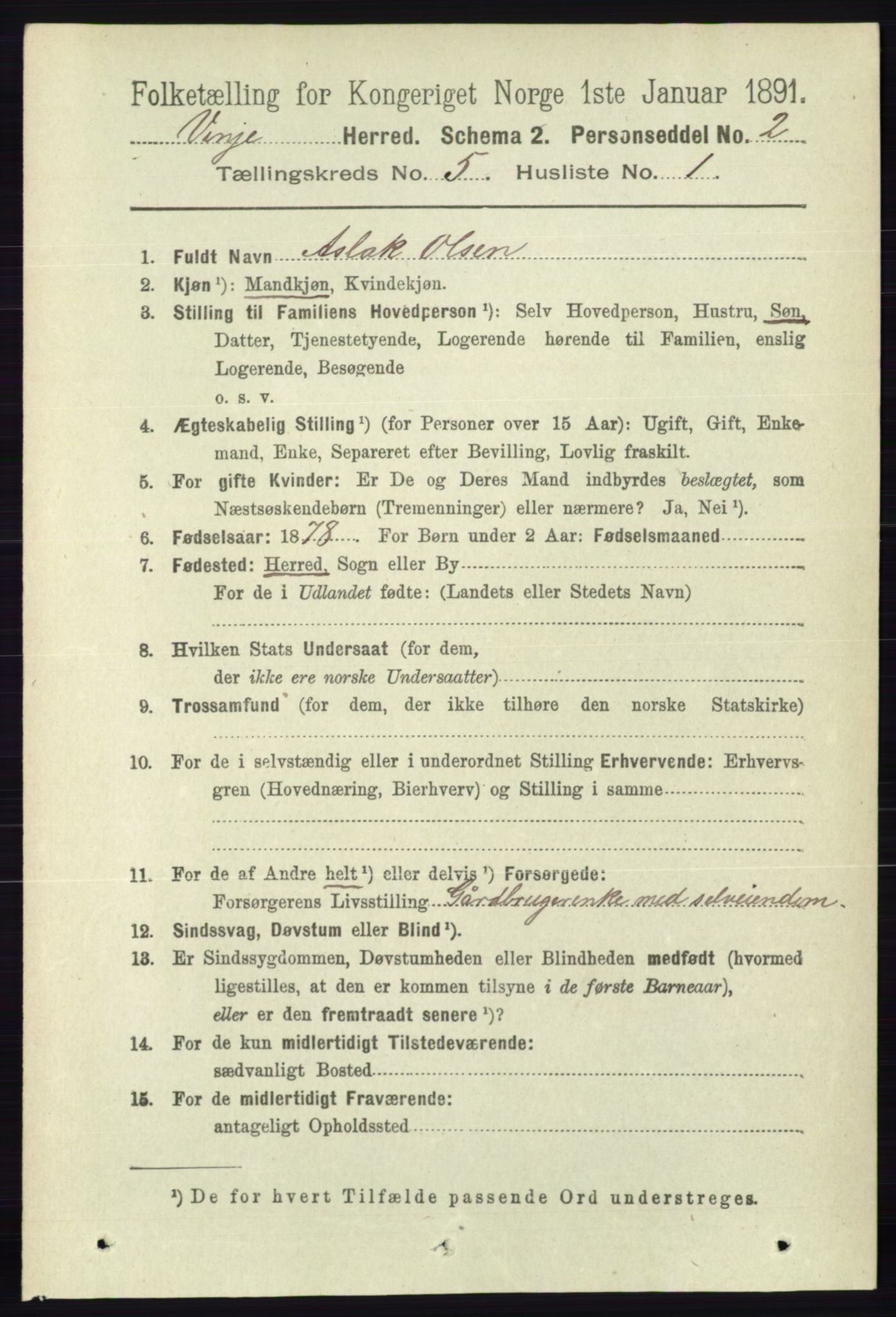 RA, 1891 census for 0834 Vinje, 1891, p. 1049