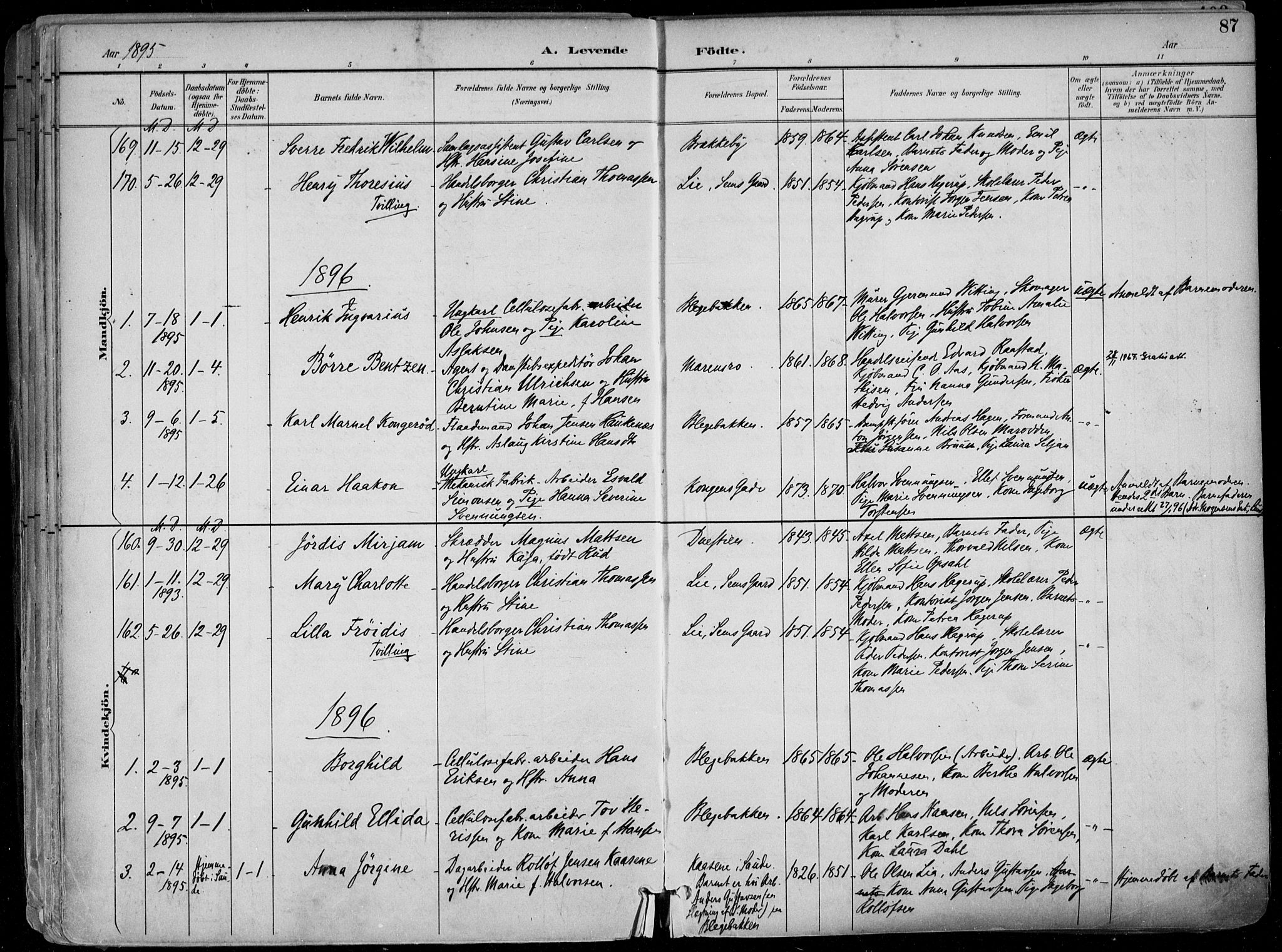 Skien kirkebøker, SAKO/A-302/F/Fa/L0010: Parish register (official) no. 10, 1891-1899, p. 87