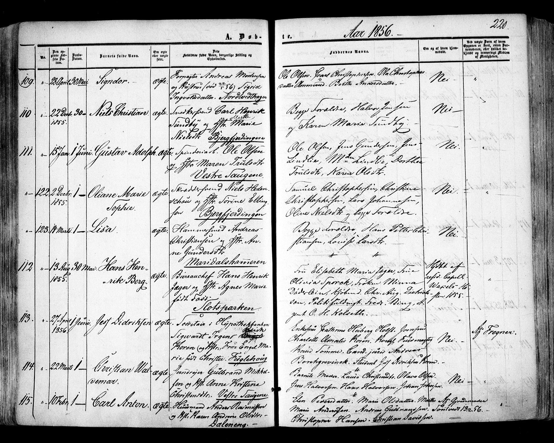 Aker prestekontor kirkebøker, SAO/A-10861/F/L0020: Parish register (official) no. 20, 1853-1857, p. 220