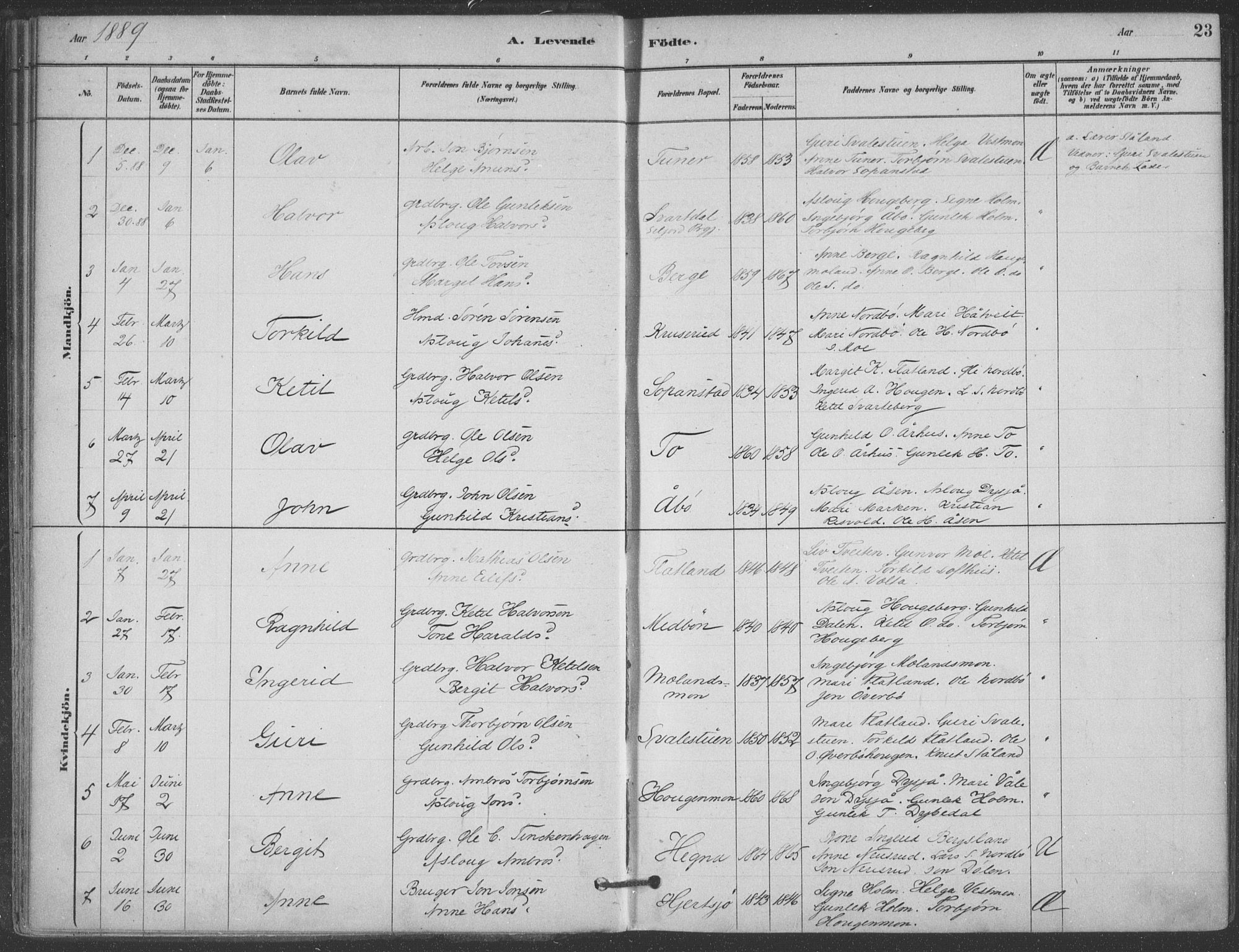 Hjartdal kirkebøker, AV/SAKO-A-270/F/Fa/L0010: Parish register (official) no. I 10, 1880-1929, p. 23