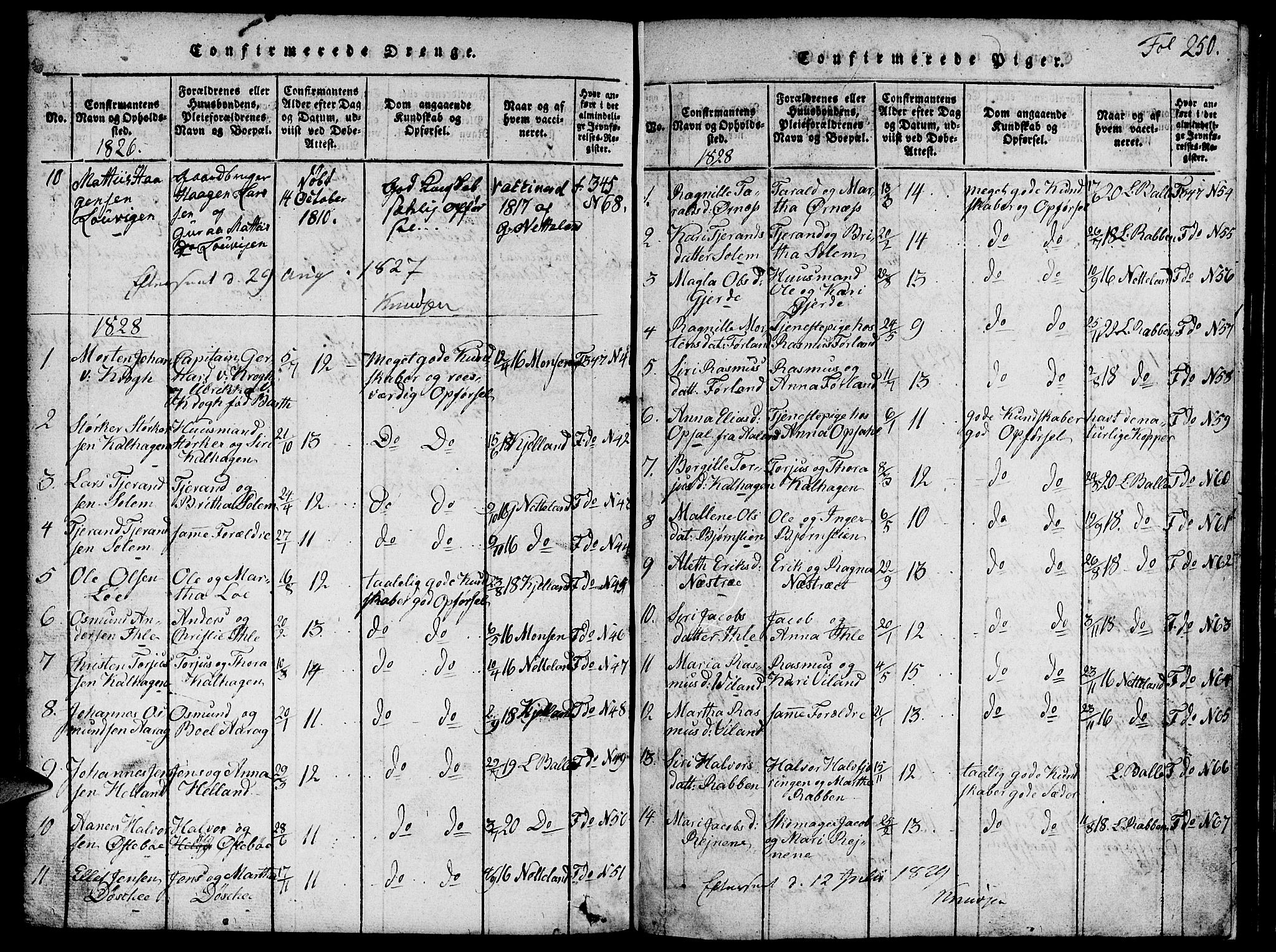 Vikedal sokneprestkontor, AV/SAST-A-101840/01/V: Parish register (copy) no. B 1, 1816-1853, p. 250