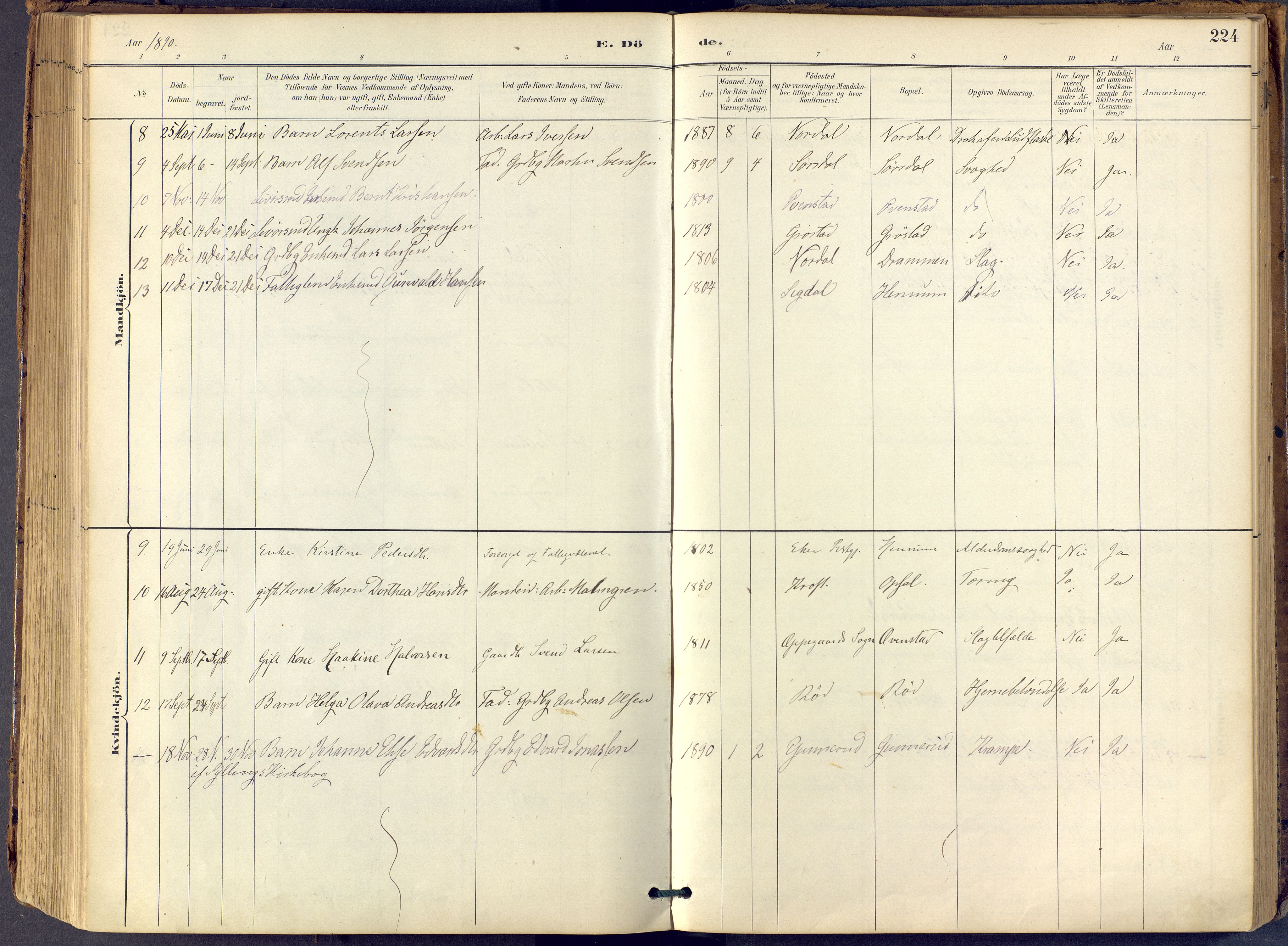 Lier kirkebøker, AV/SAKO-A-230/F/Fb/L0001: Parish register (official) no. II 1, 1883-1910, p. 224