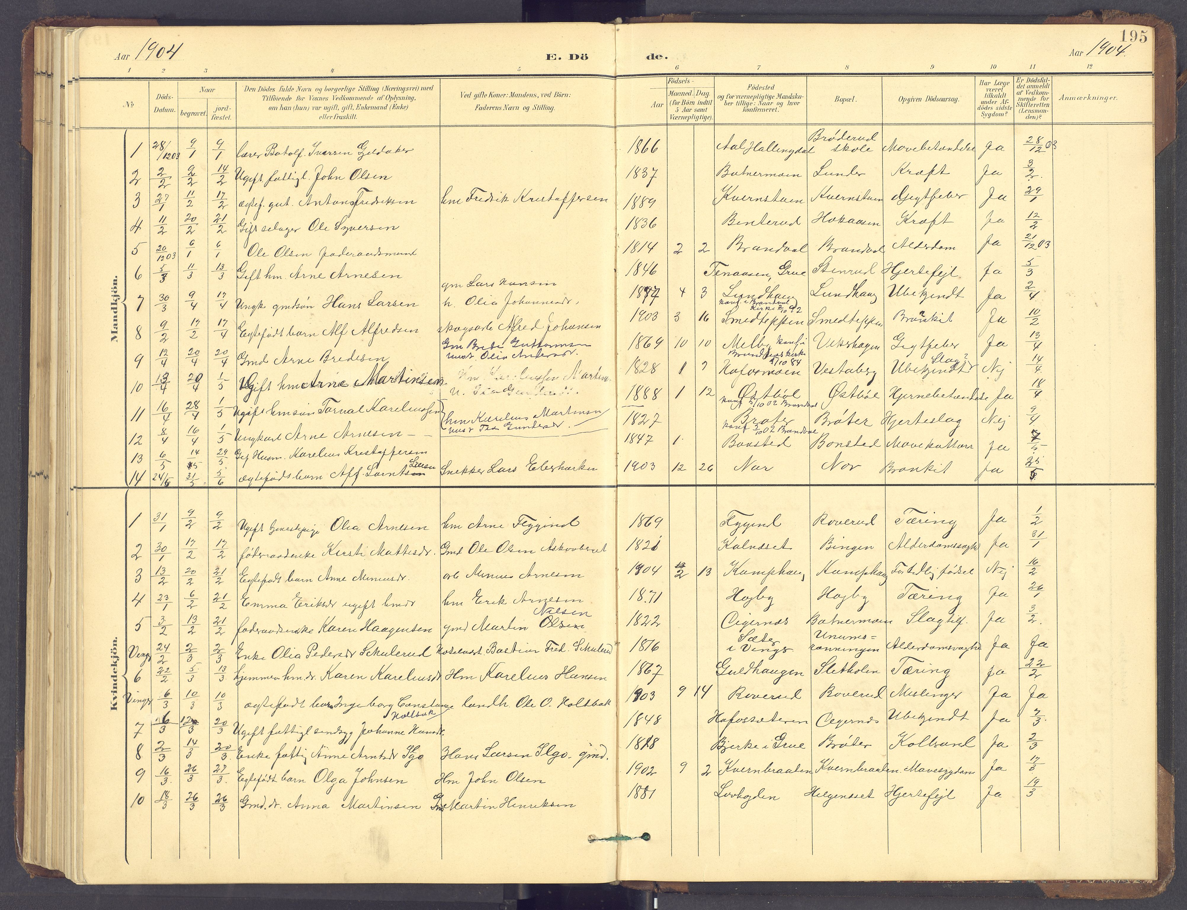 Brandval prestekontor, SAH/PREST-034/H/Ha/Hab/L0002: Parish register (copy) no. 2, 1895-1904, p. 195
