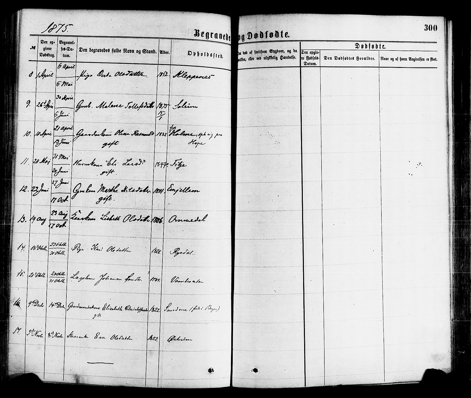 Gloppen sokneprestembete, SAB/A-80101/H/Haa/Haaa/L0010: Parish register (official) no. A 10, 1871-1884, p. 300
