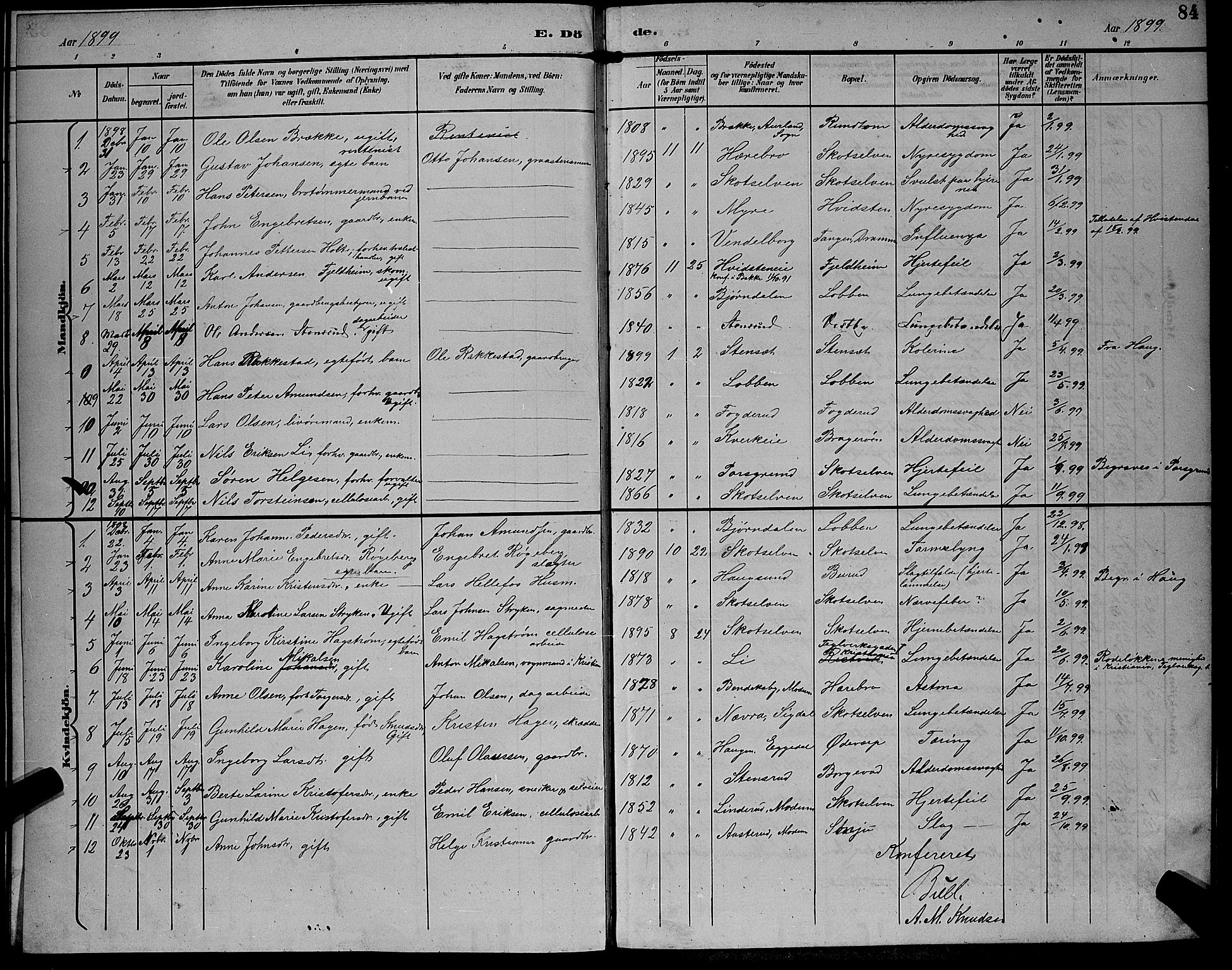 Eiker kirkebøker, AV/SAKO-A-4/G/Gb/L0004: Parish register (copy) no. II 4, 1894-1900, p. 84