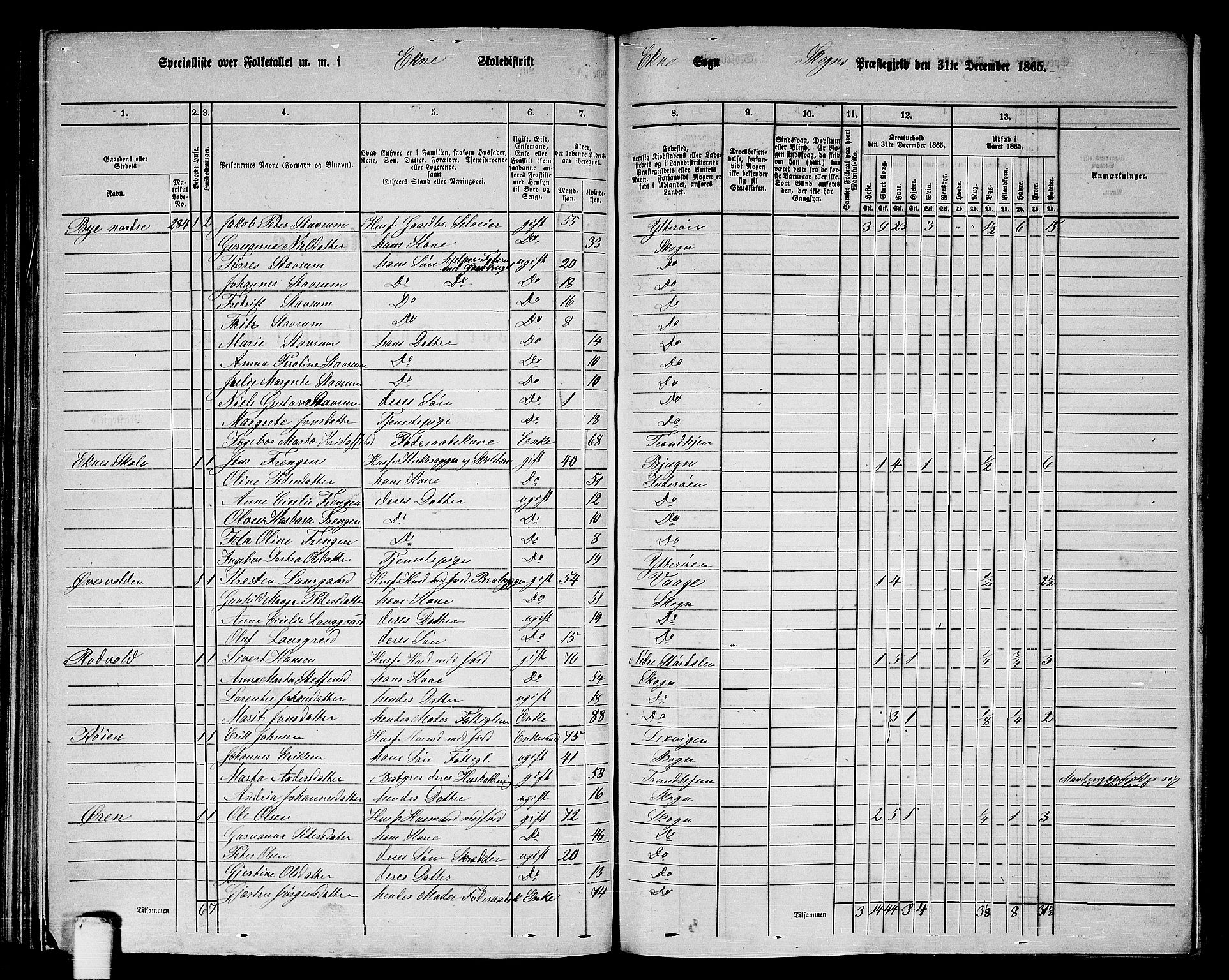 RA, 1865 census for Skogn, 1865, p. 152