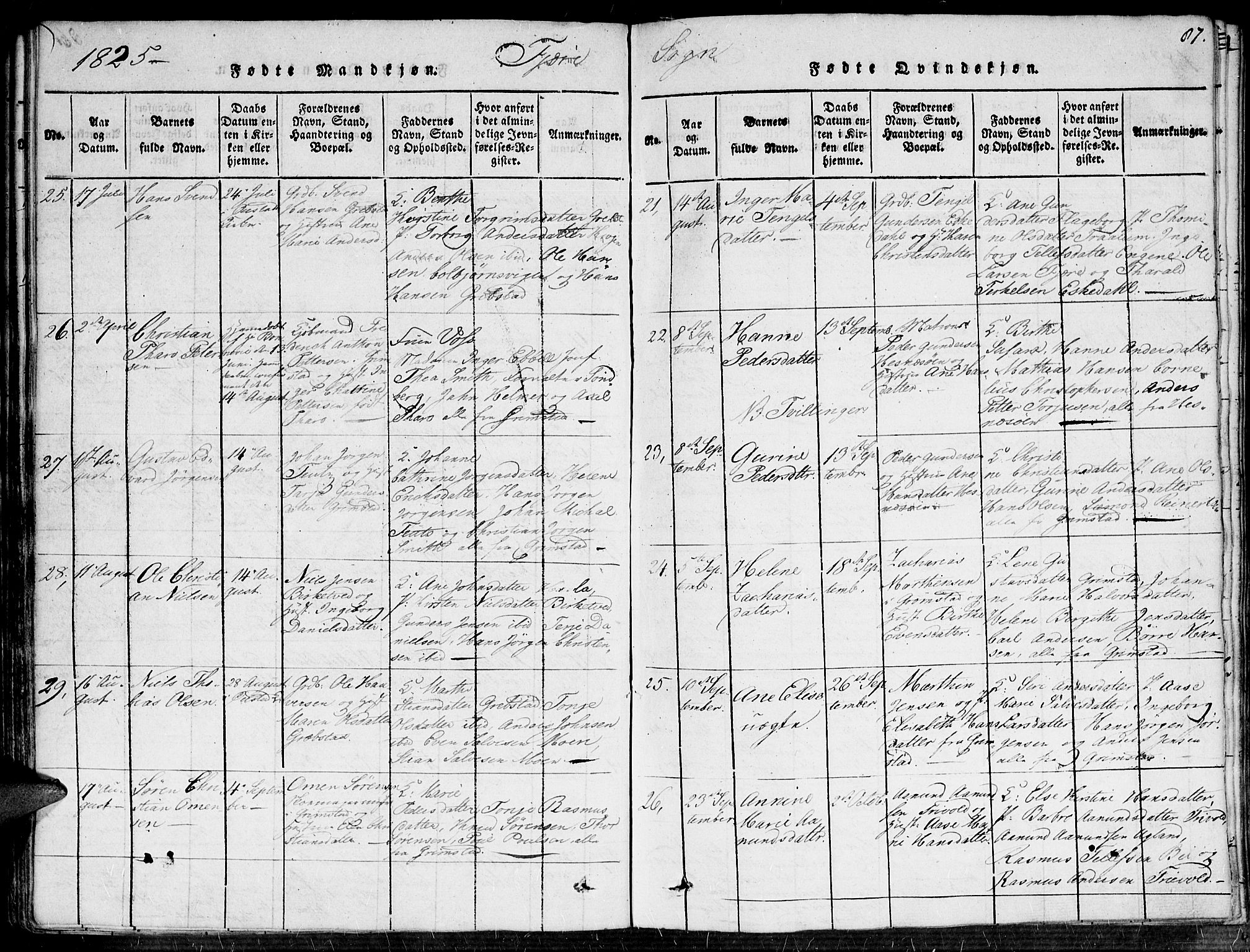 Fjære sokneprestkontor, SAK/1111-0011/F/Fa/L0001: Parish register (official) no. A 1 /1, 1816-1826, p. 87