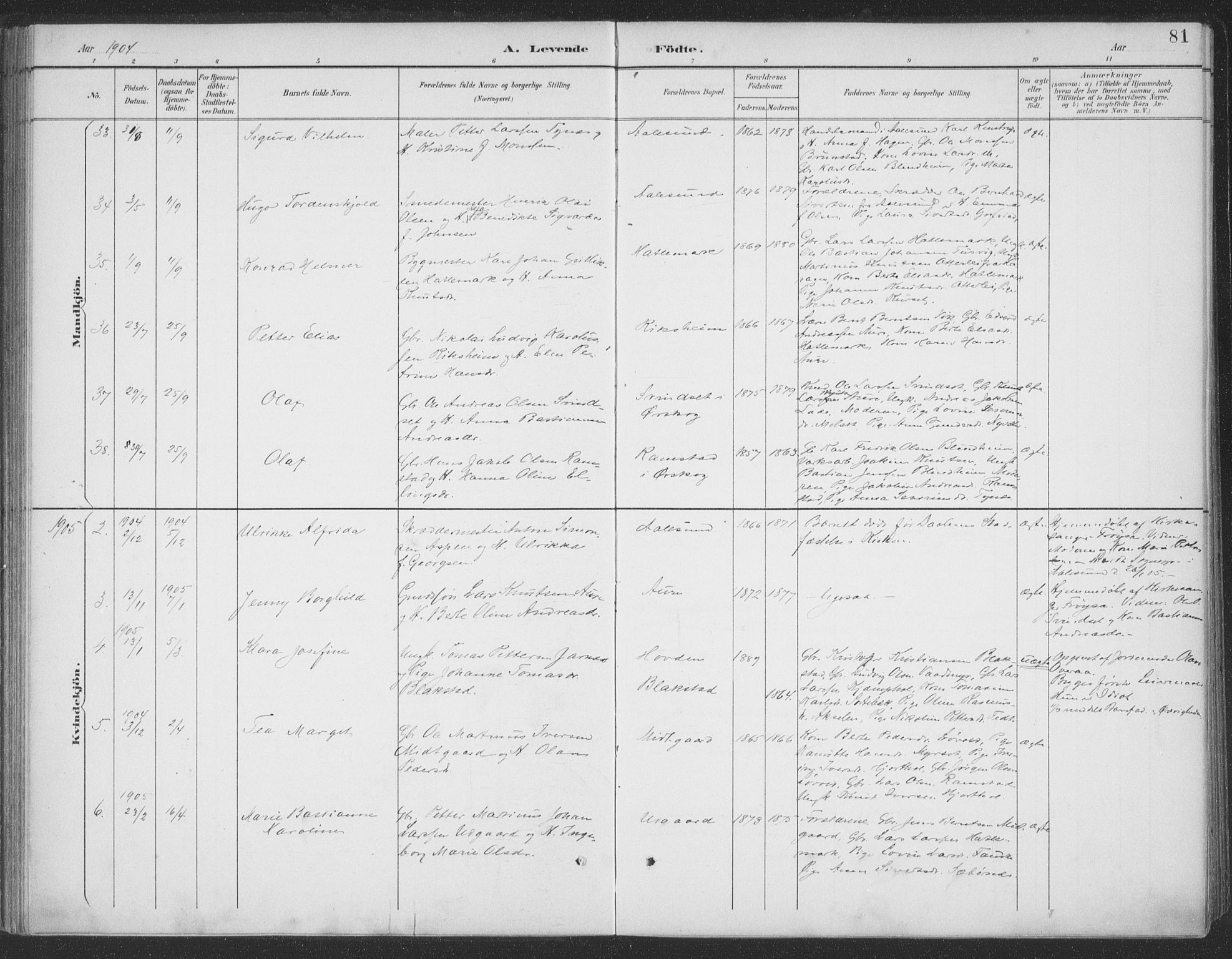 Ministerialprotokoller, klokkerbøker og fødselsregistre - Møre og Romsdal, AV/SAT-A-1454/523/L0335: Parish register (official) no. 523A02, 1891-1911, p. 81